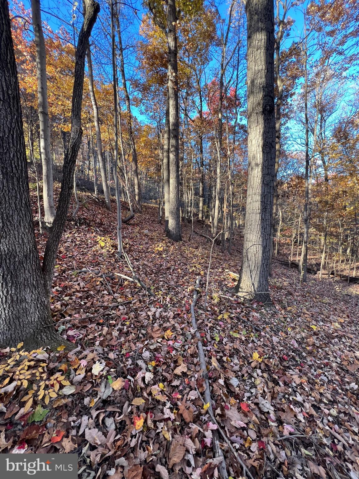 0 TIMBERLINE RIDGE ROAD