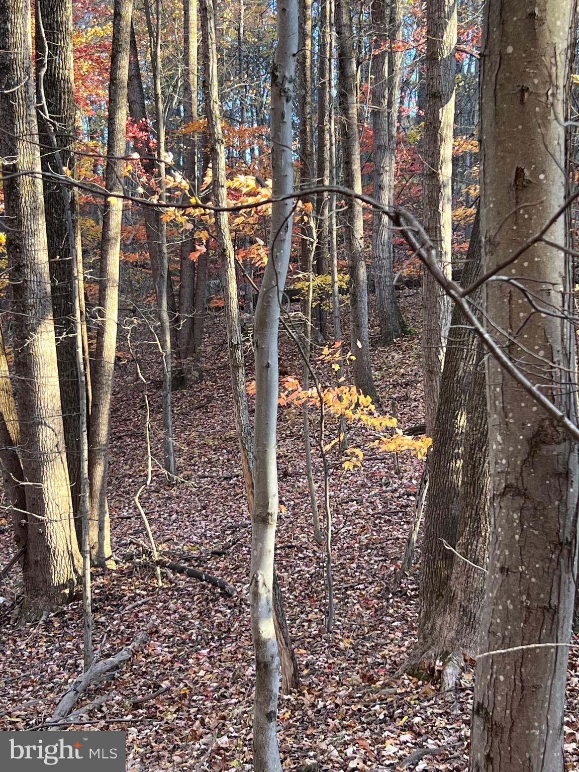 0 TIMBERLINE RIDGE ROAD