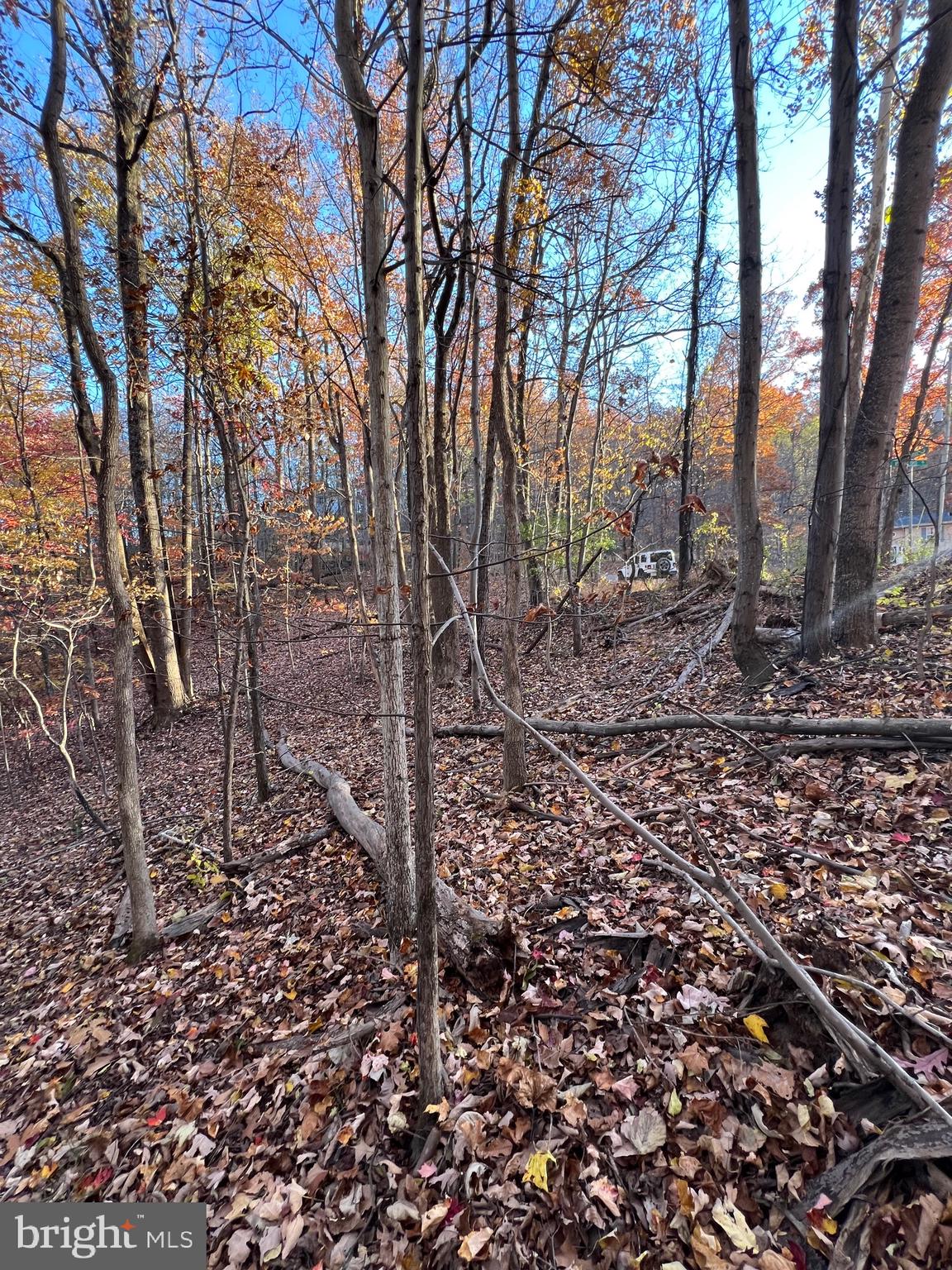 0 TIMBERLINE RIDGE ROAD