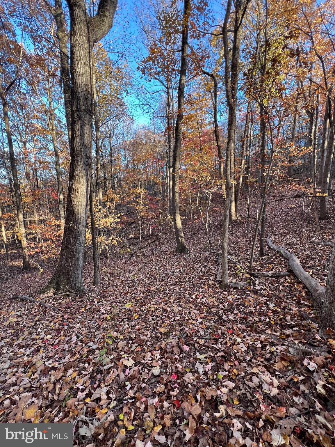 0 TIMBERLINE RIDGE ROAD