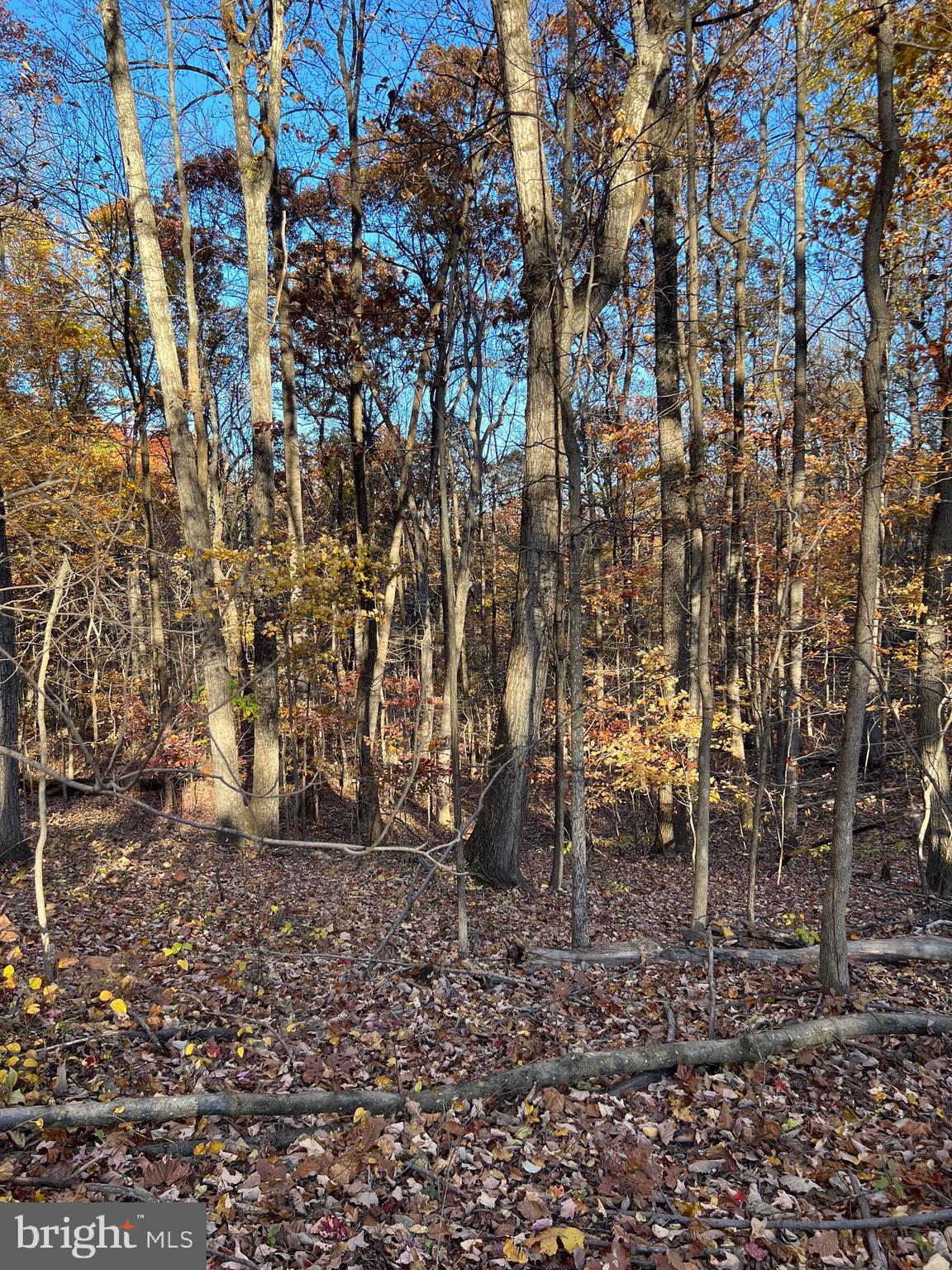 0 TIMBERLINE RIDGE ROAD