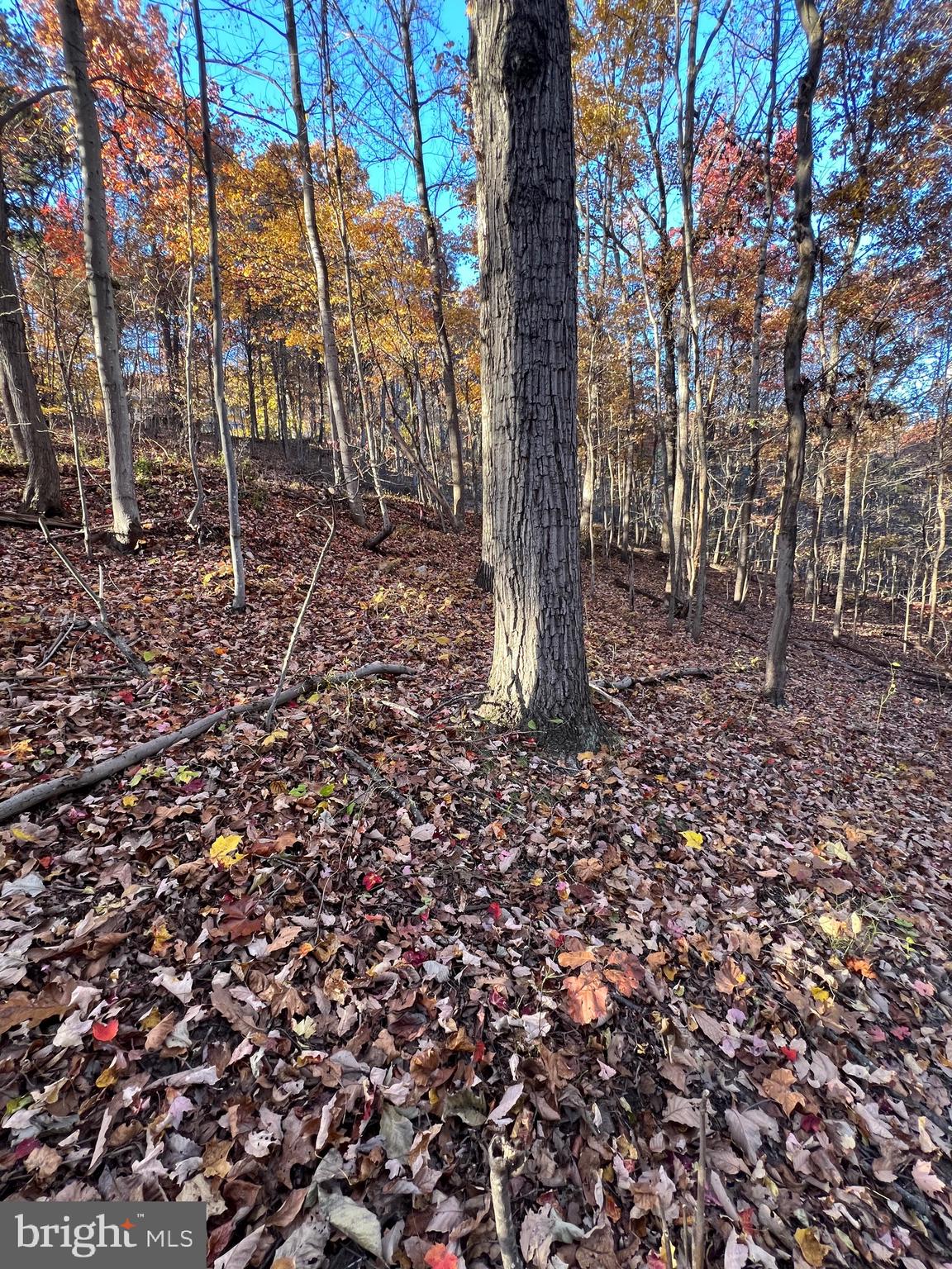 0 TIMBERLINE RIDGE ROAD