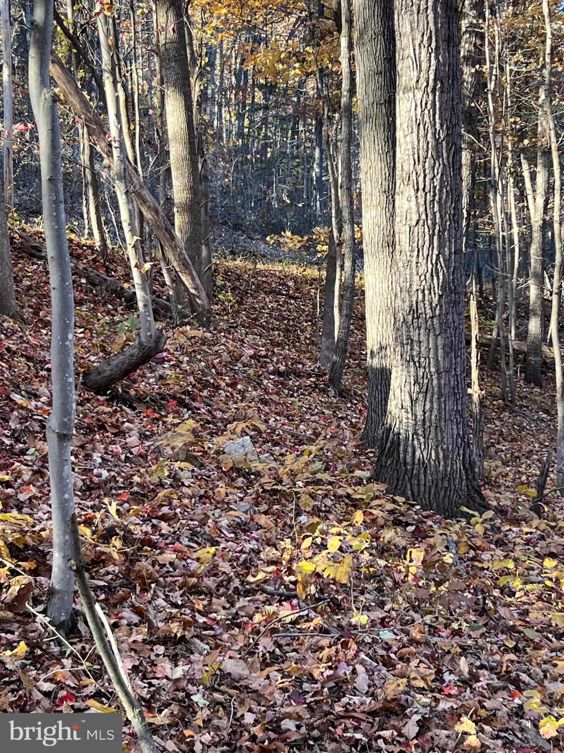 0 TIMBERLINE RIDGE ROAD