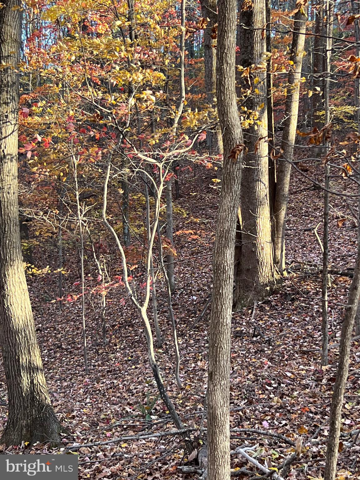 0 TIMBERLINE RIDGE ROAD