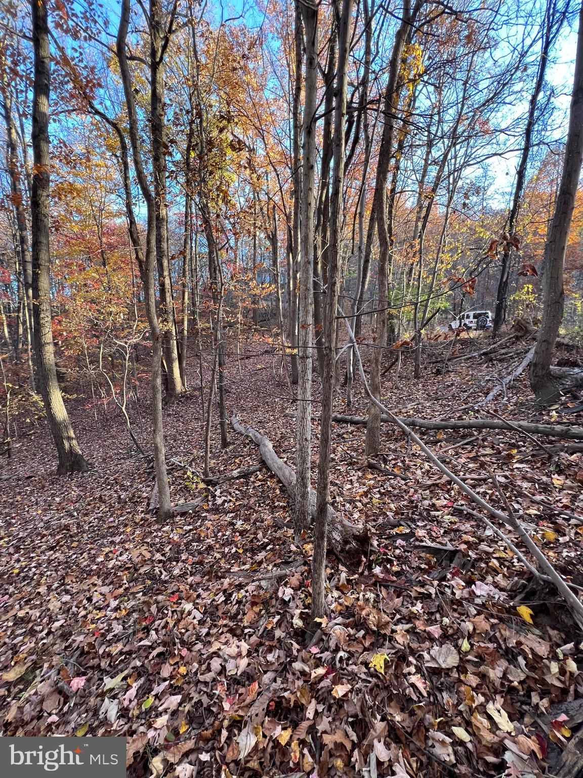 0 TIMBERLINE RIDGE ROAD