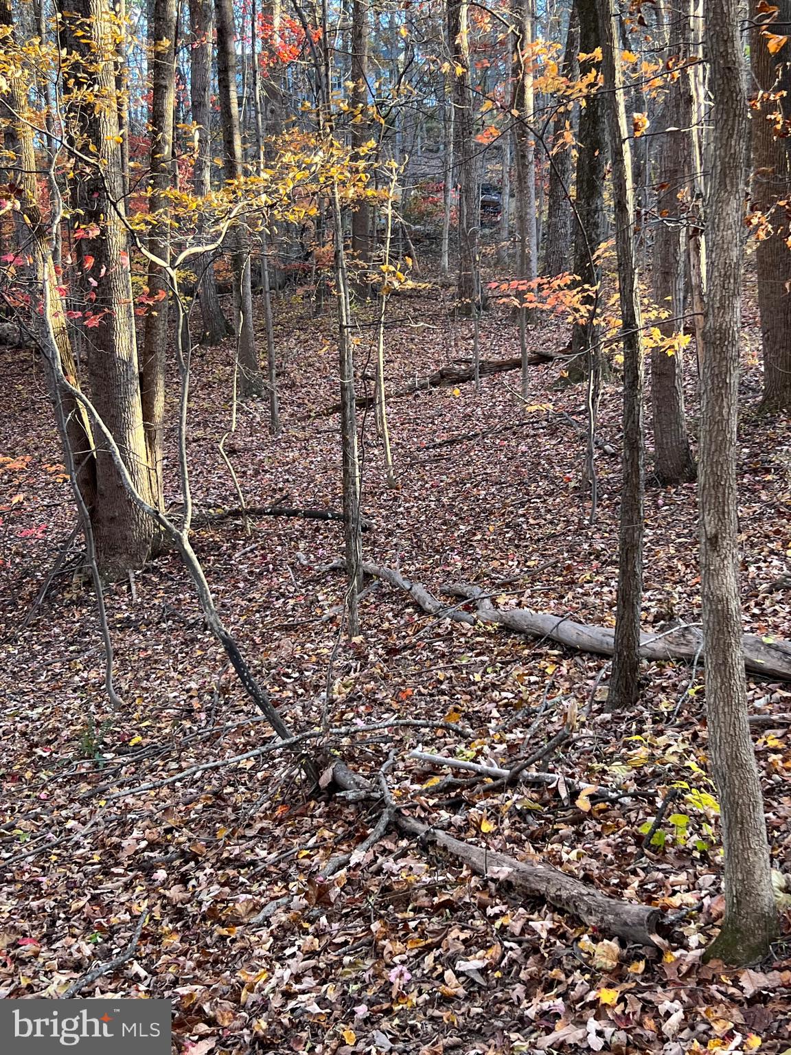 0 TIMBERLINE RIDGE ROAD