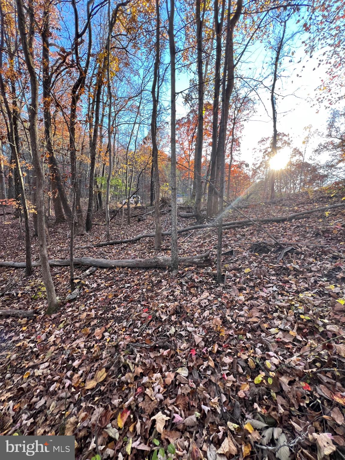 0 TIMBERLINE RIDGE ROAD