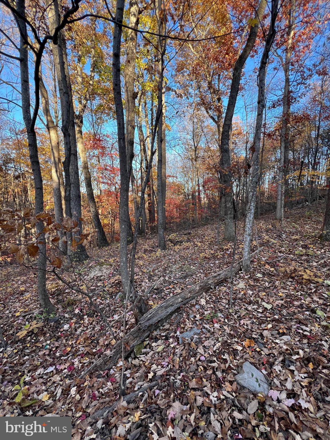 0 TIMBERLINE RIDGE ROAD