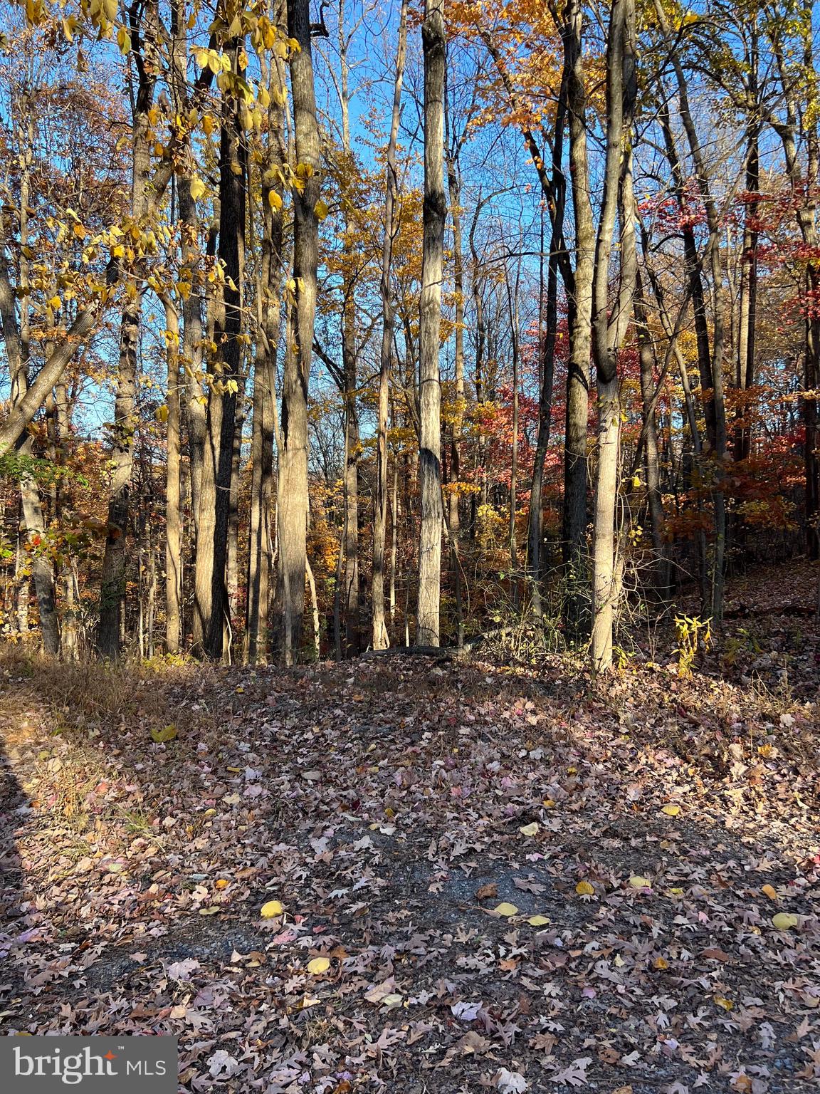 0 TIMBERLINE RIDGE ROAD