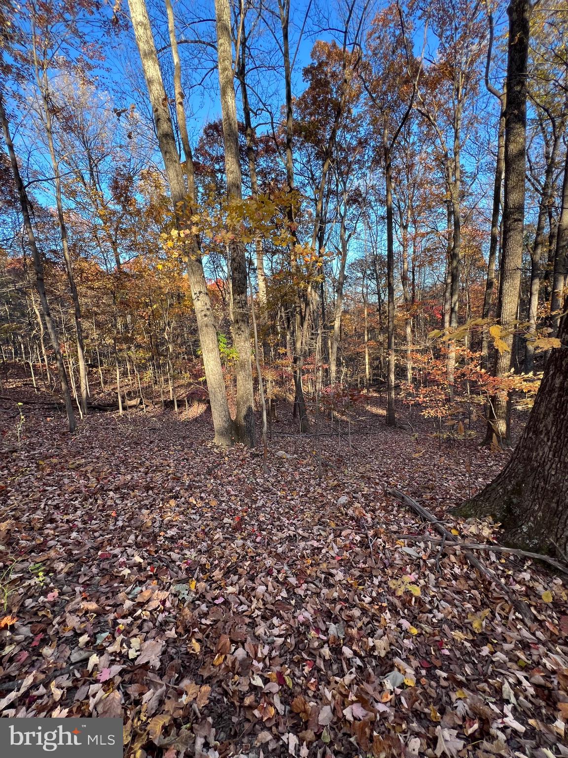 0 TIMBERLINE RIDGE ROAD