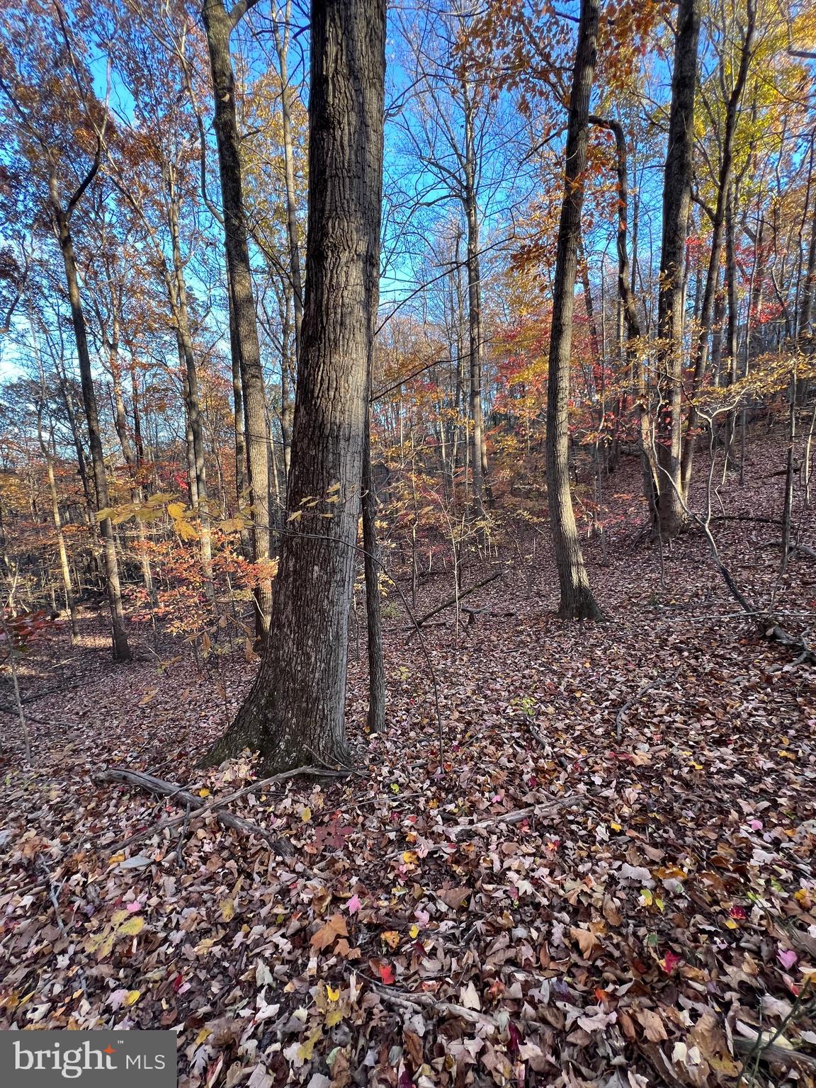 0 TIMBERLINE RIDGE ROAD