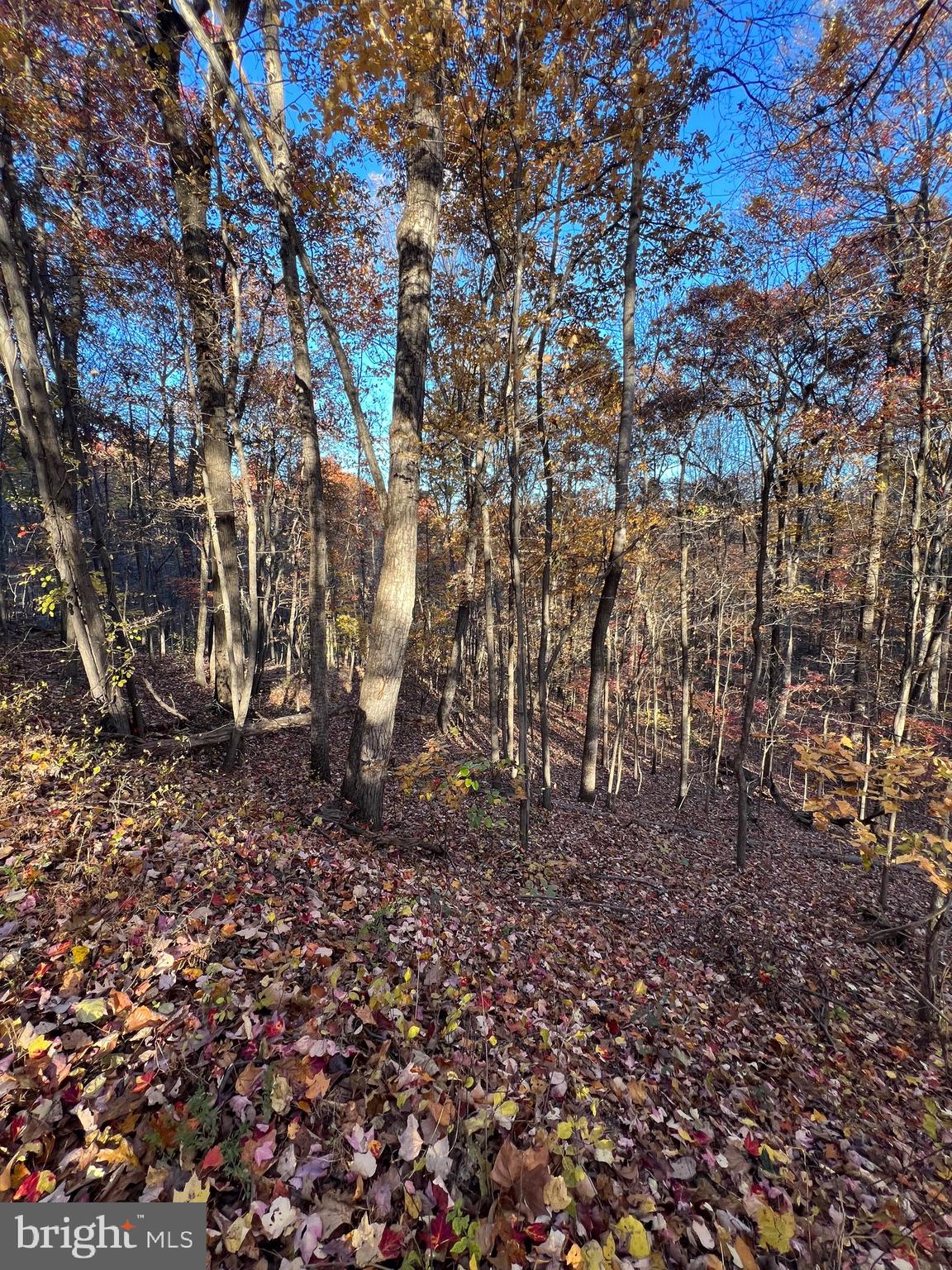 0 TIMBERLINE RIDGE ROAD