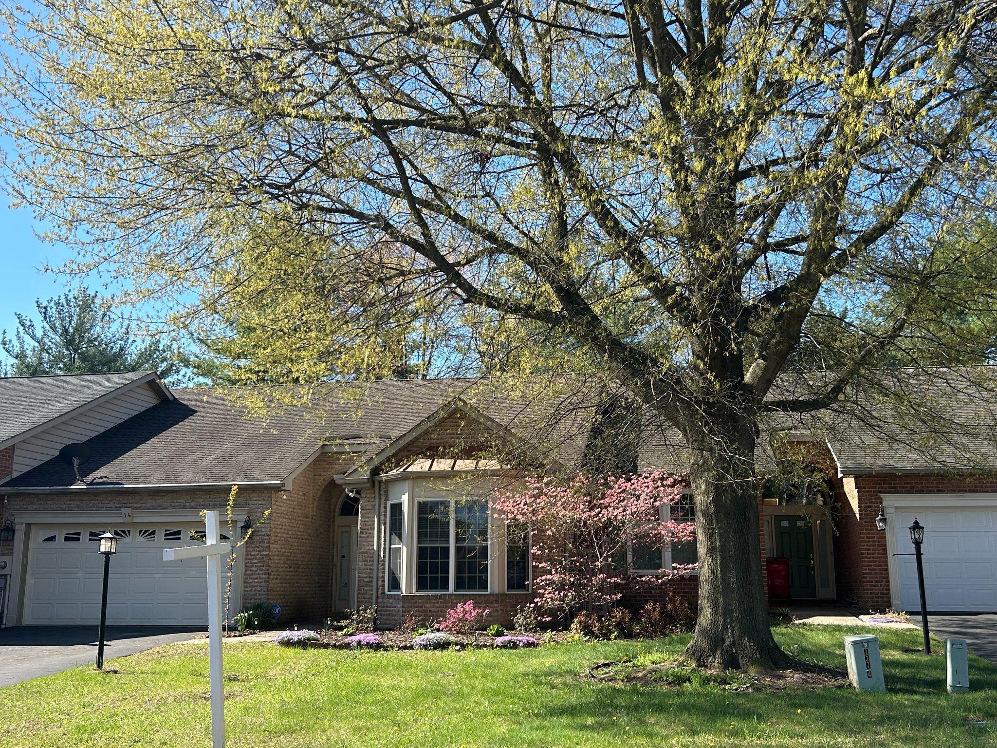 14 AMBLER LANE
