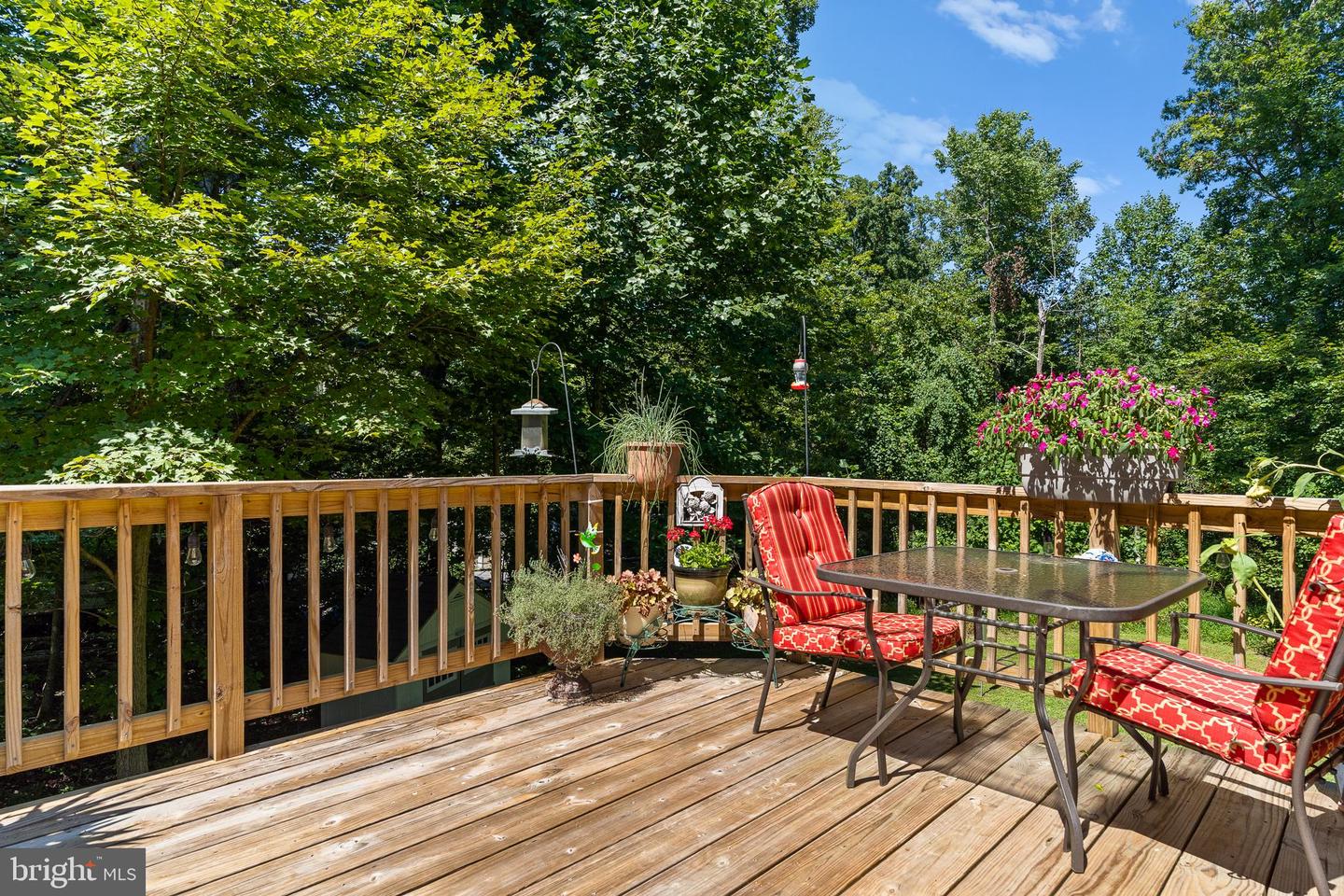 338 OLD SHADY GROVE LANE