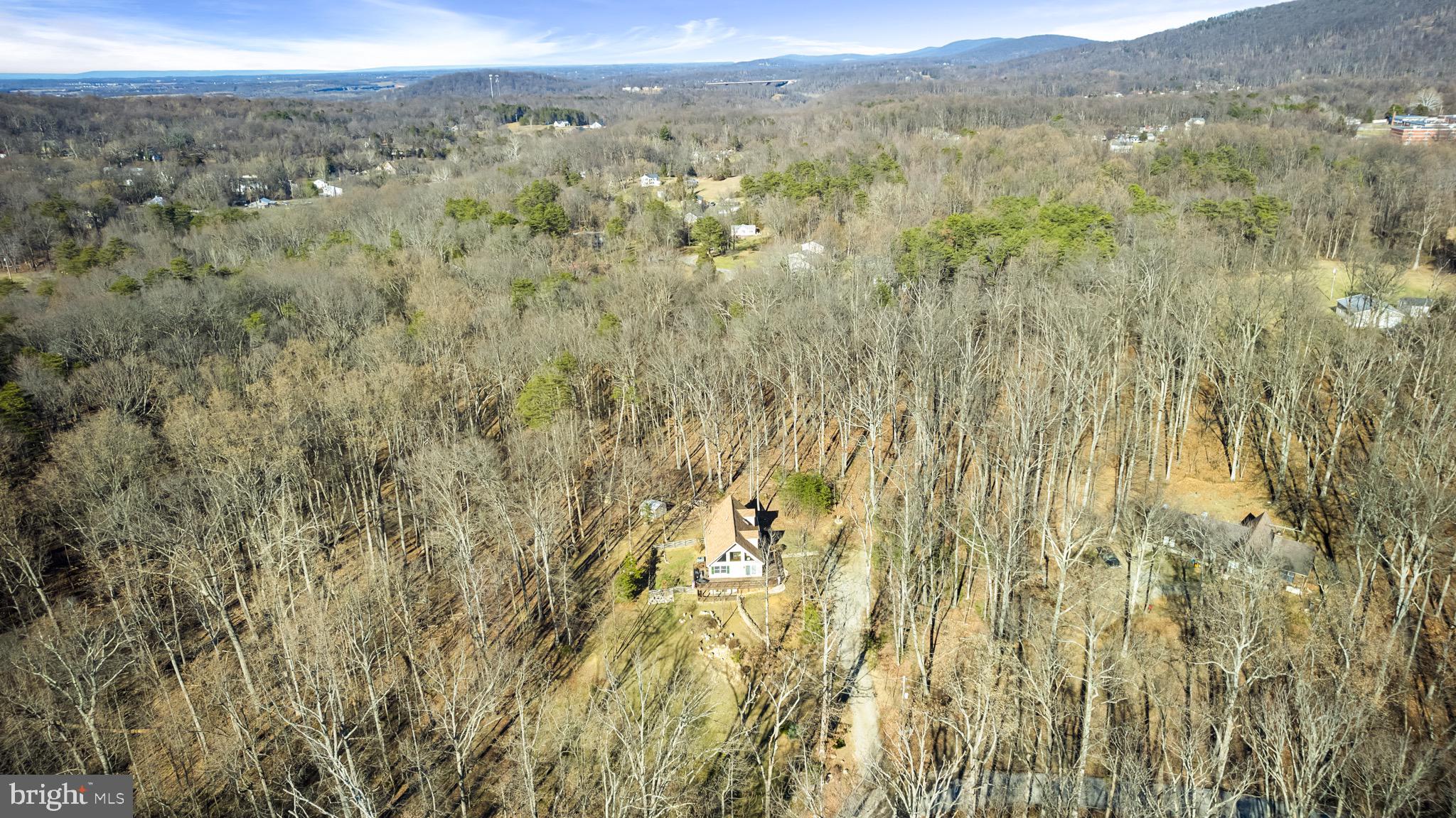 753 Bunny Lane