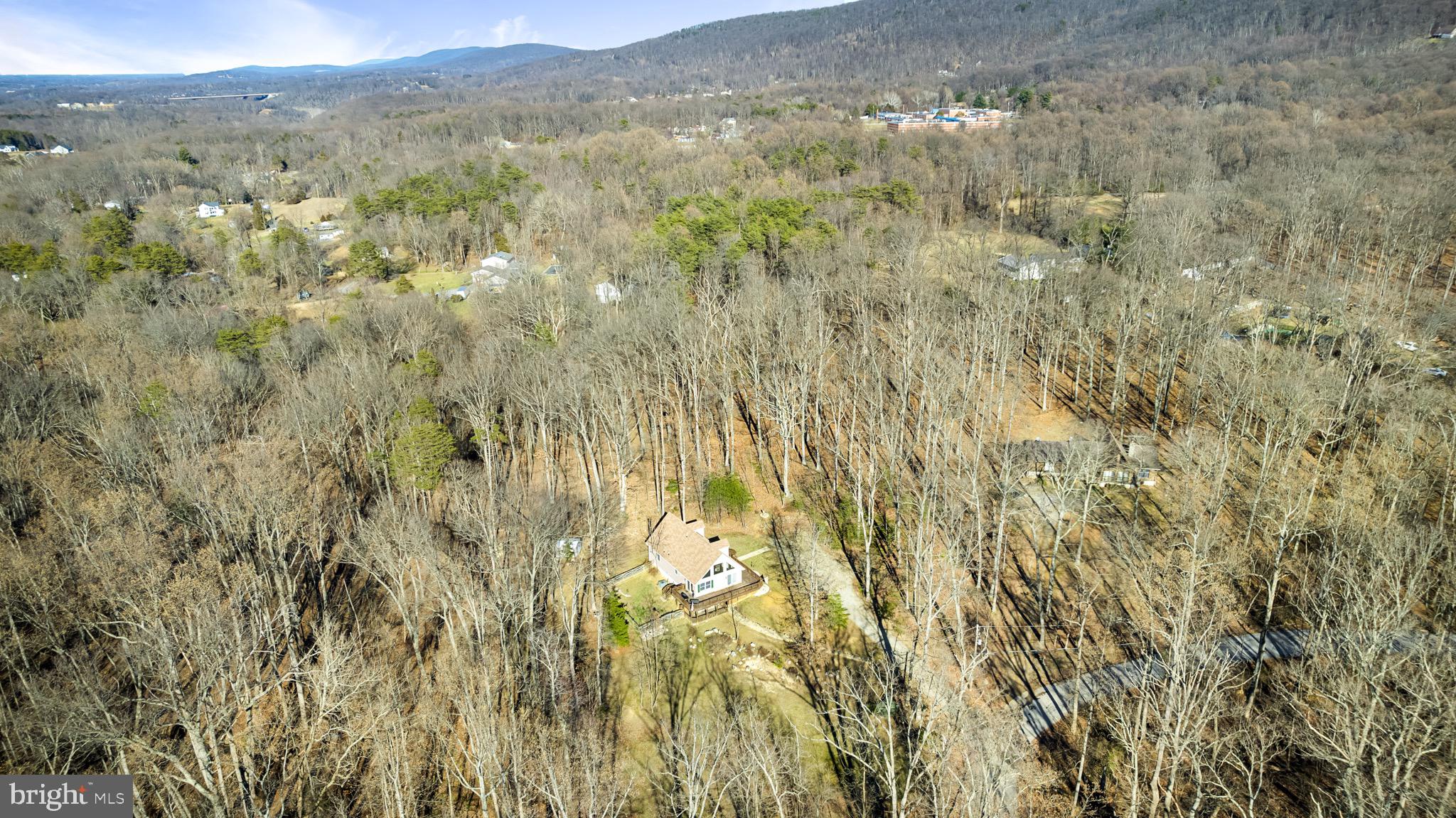 753 Bunny Lane