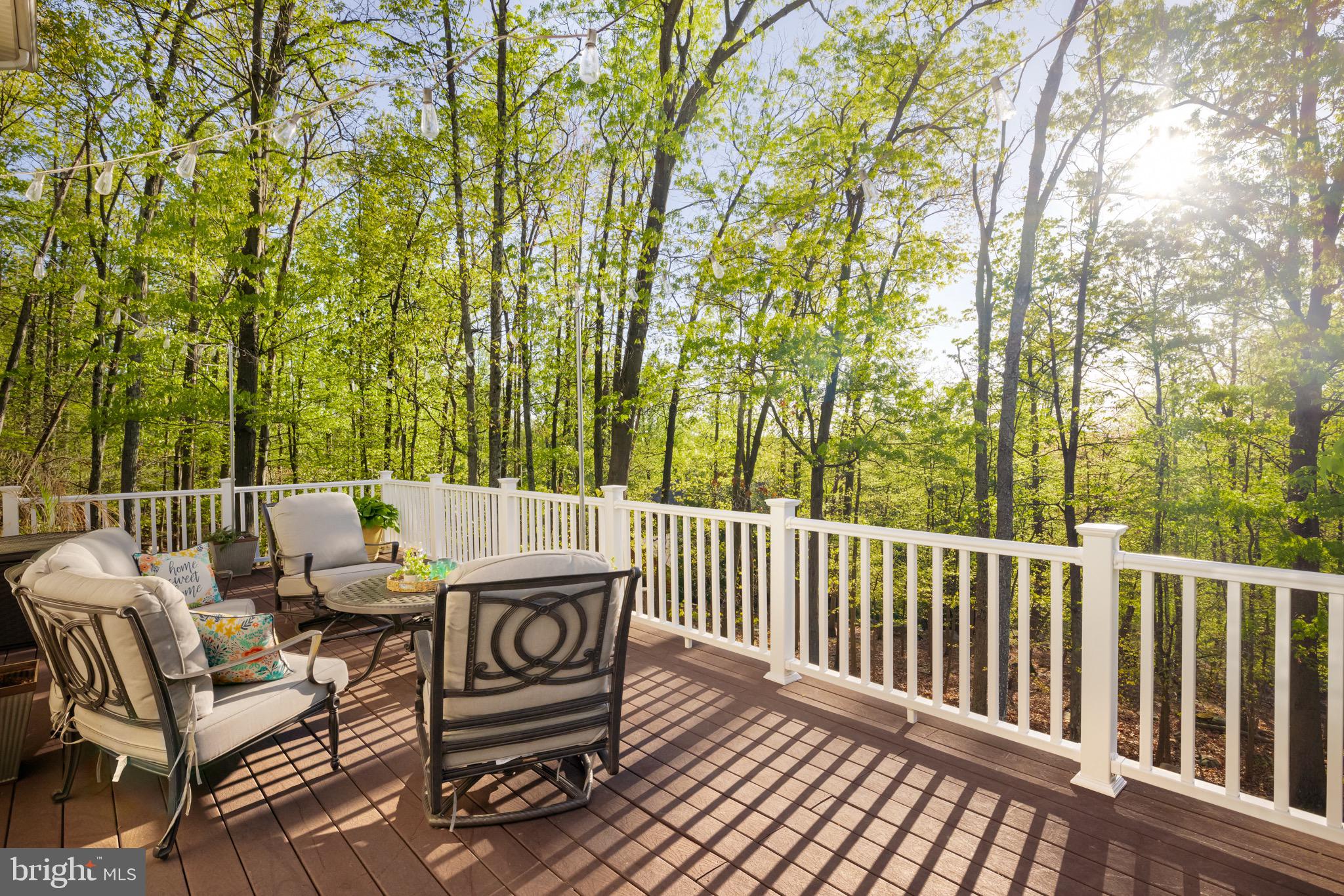 67 Wild Turkey Ct
