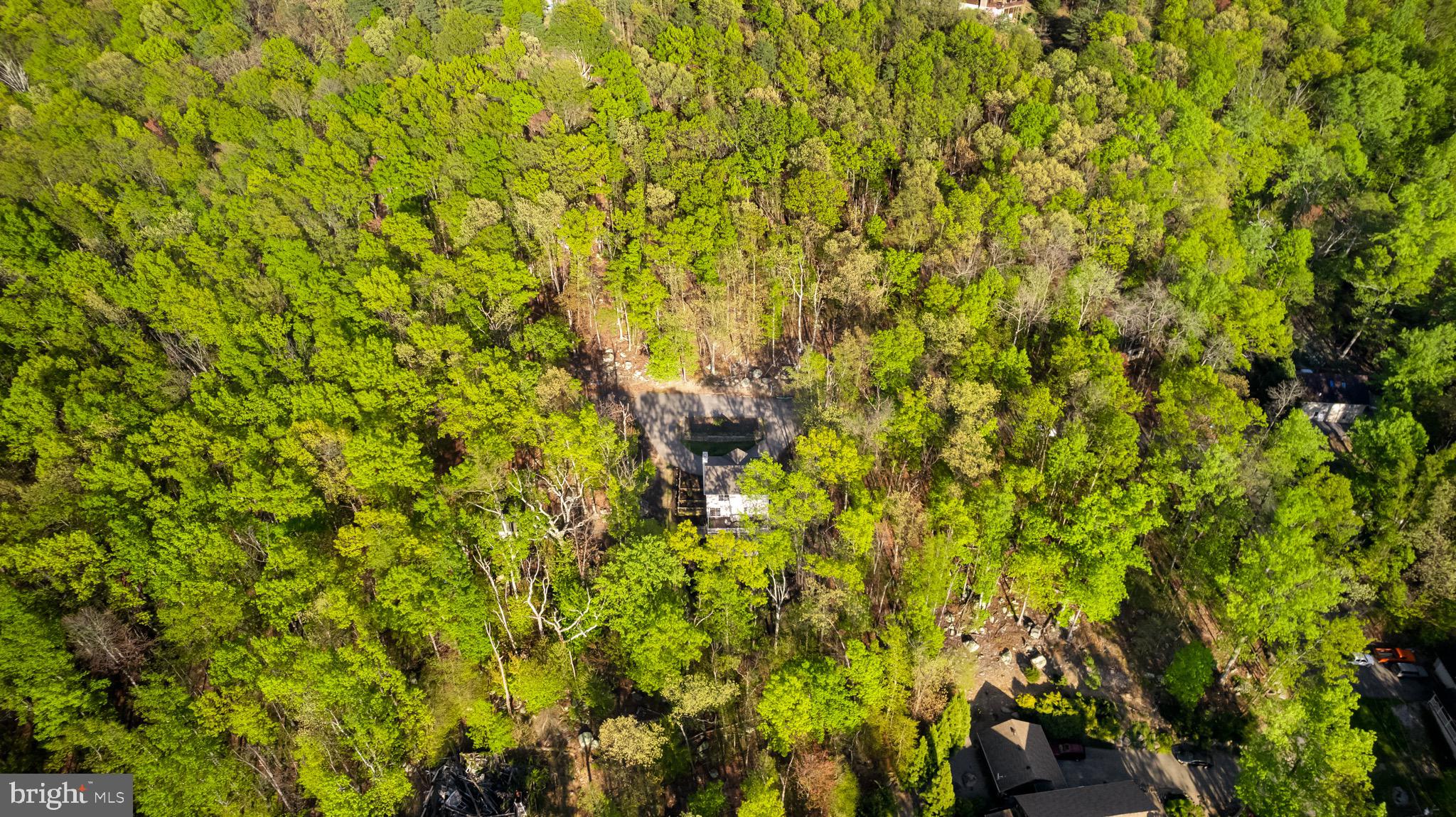 67 Wild Turkey Ct