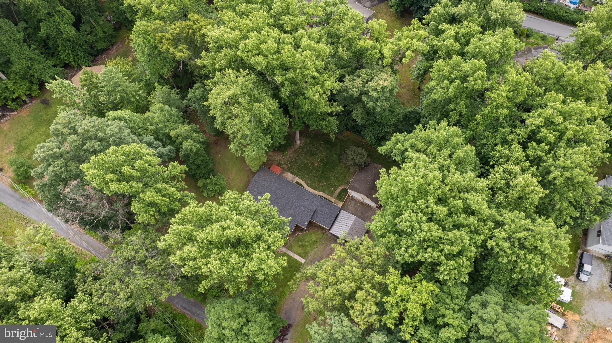364 Blueberry Ln