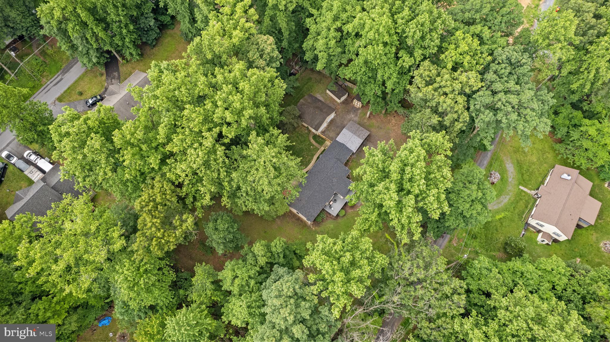 364 Blueberry Ln