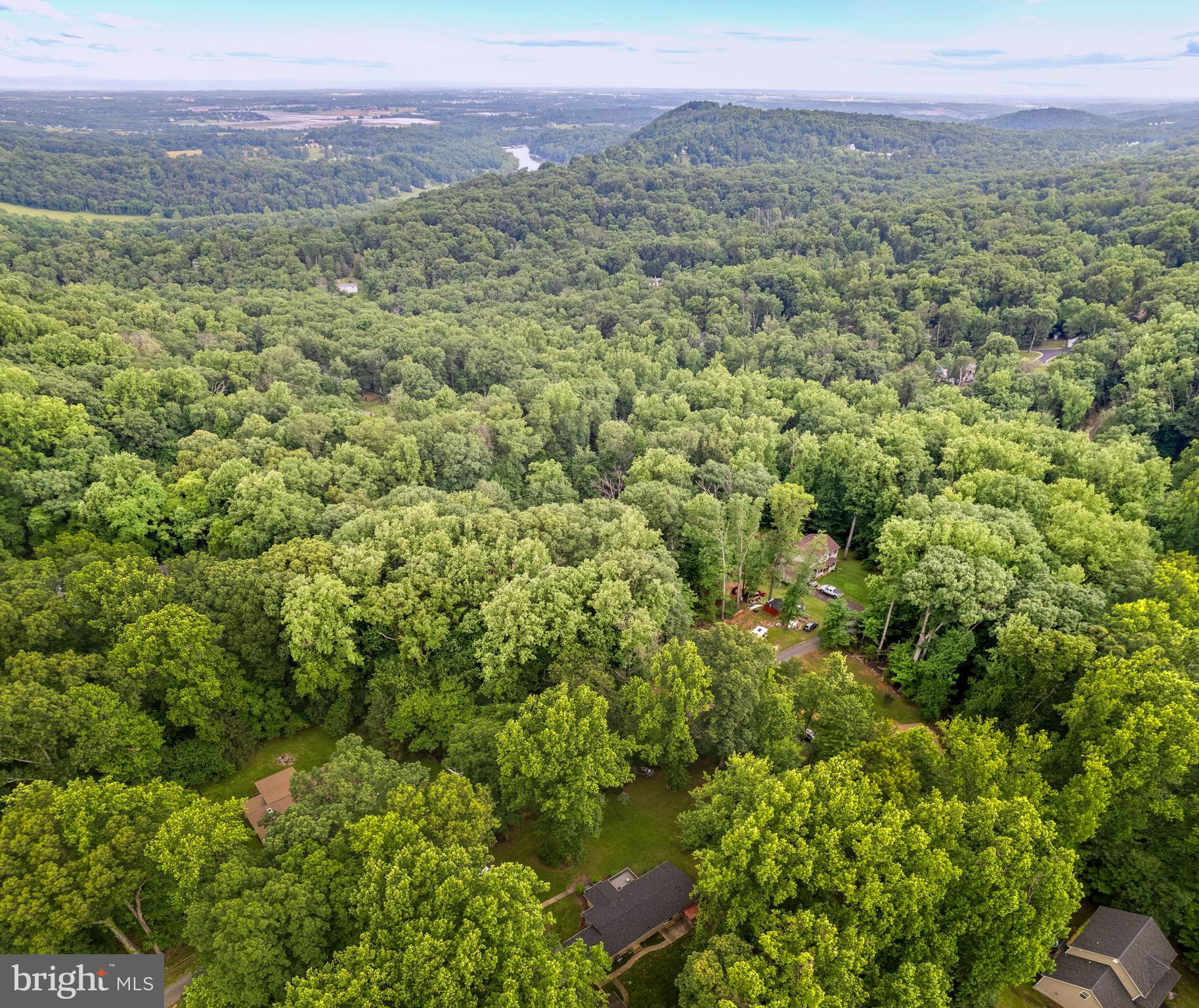 364 Blueberry Ln