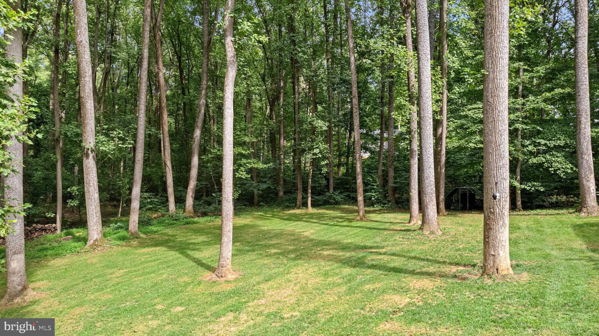 247 Sunset Lane