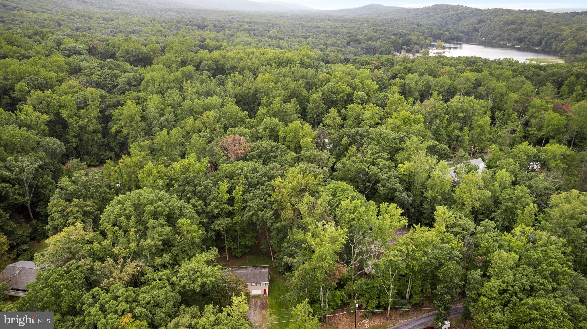 218 Red Fox Rd