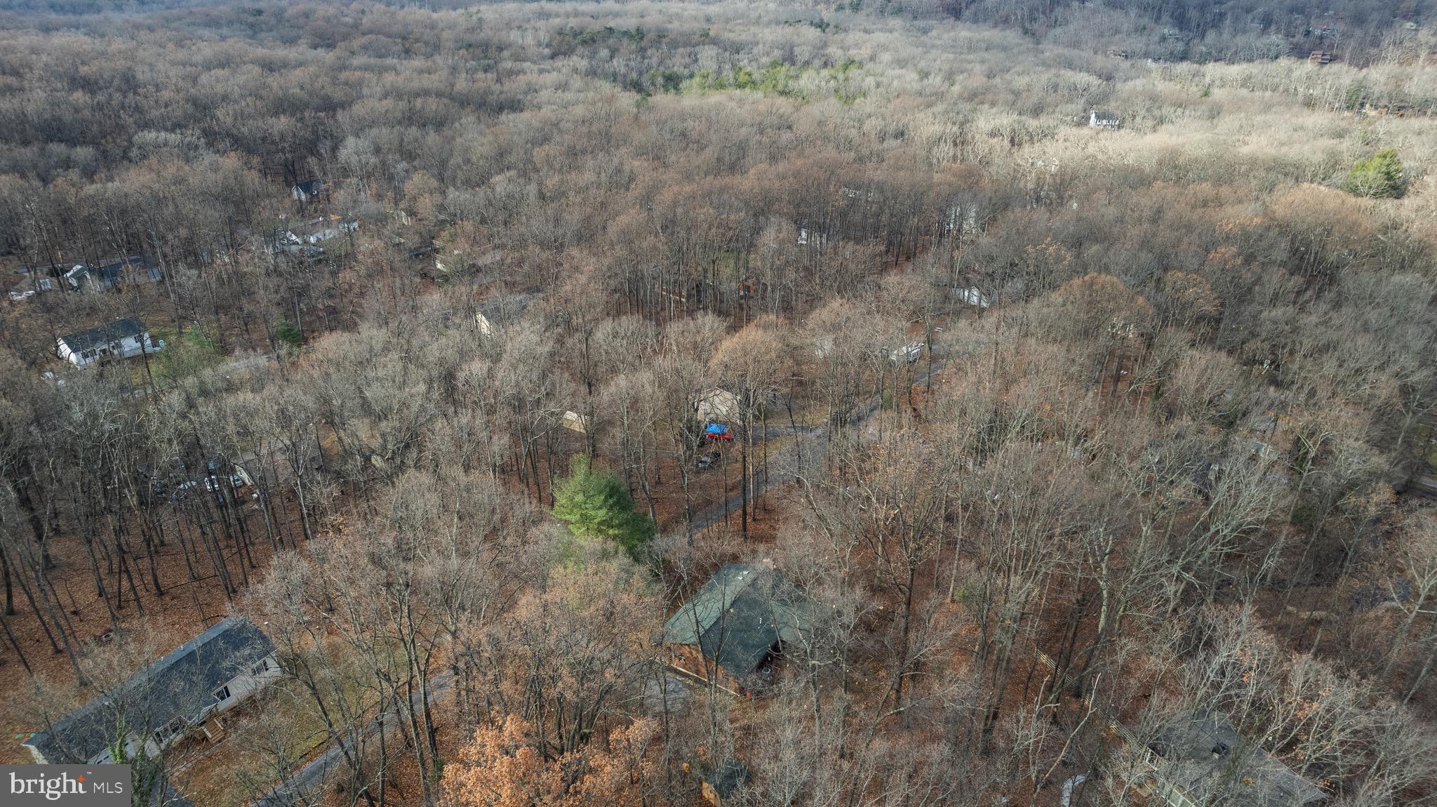 303 Apple Jack Ln