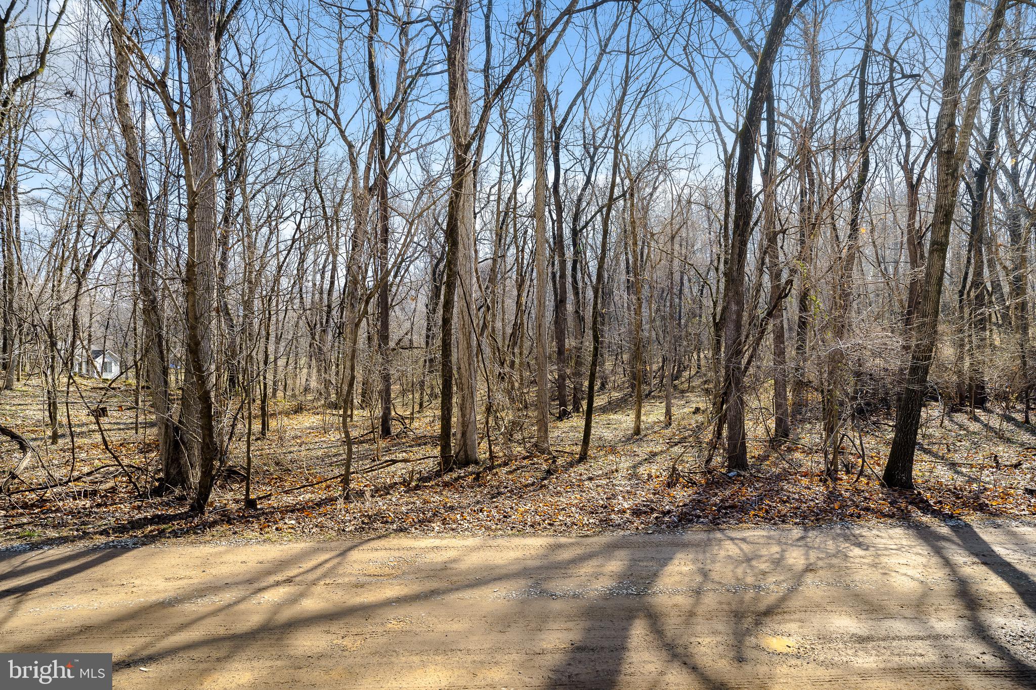 238 Old Shenandoah Trl