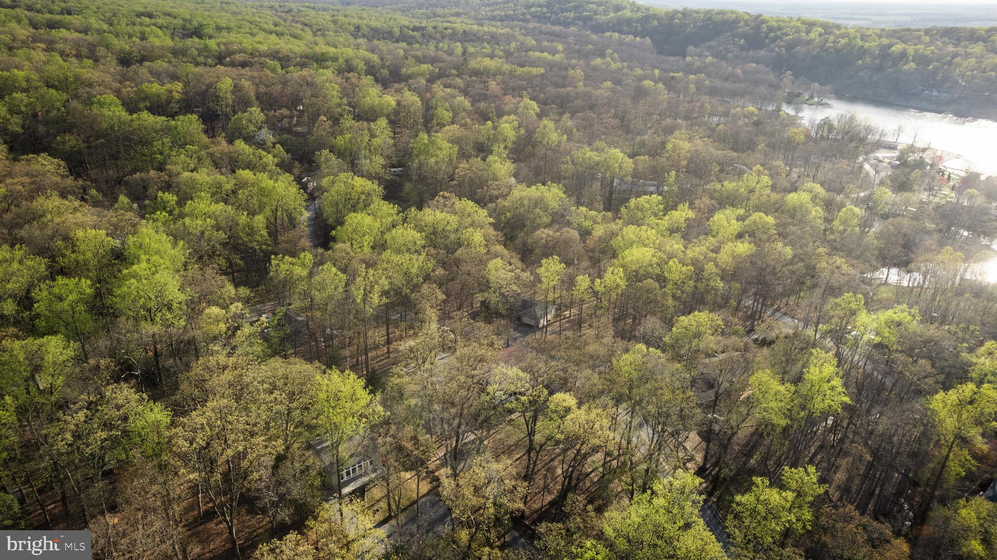 40 Crooked Rd