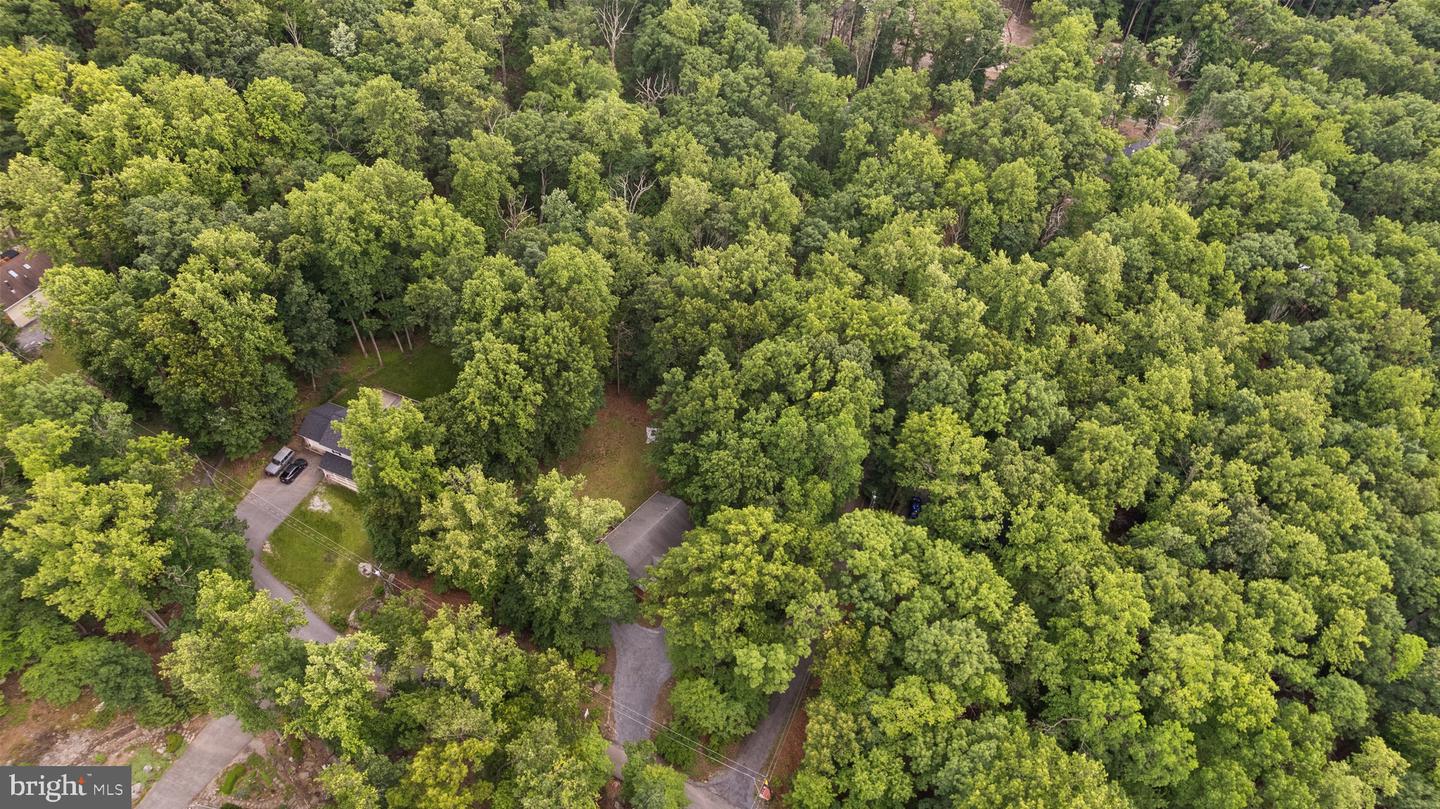 904 Wild Turkey Rd