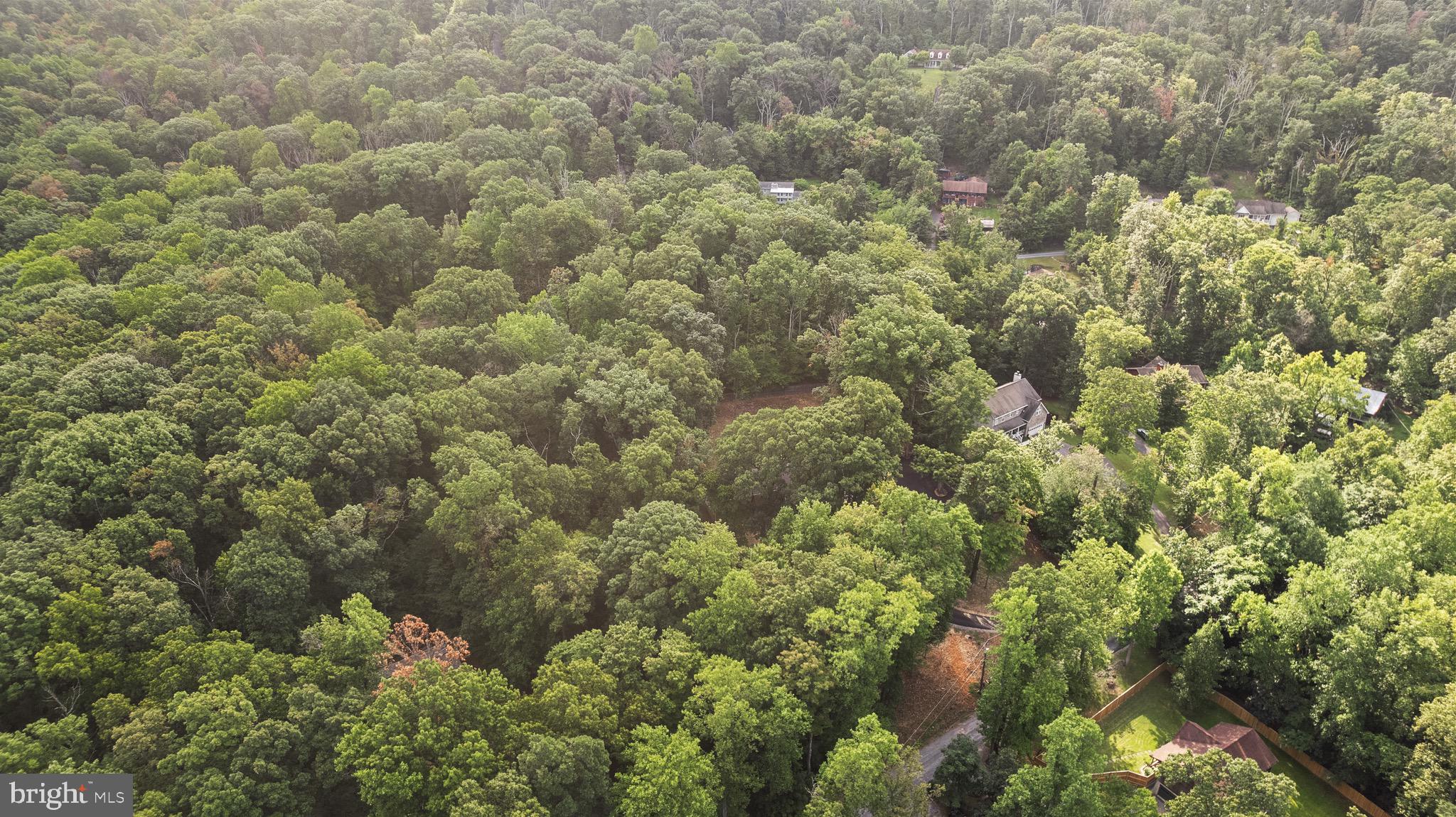 194 Black Cub Run Ln