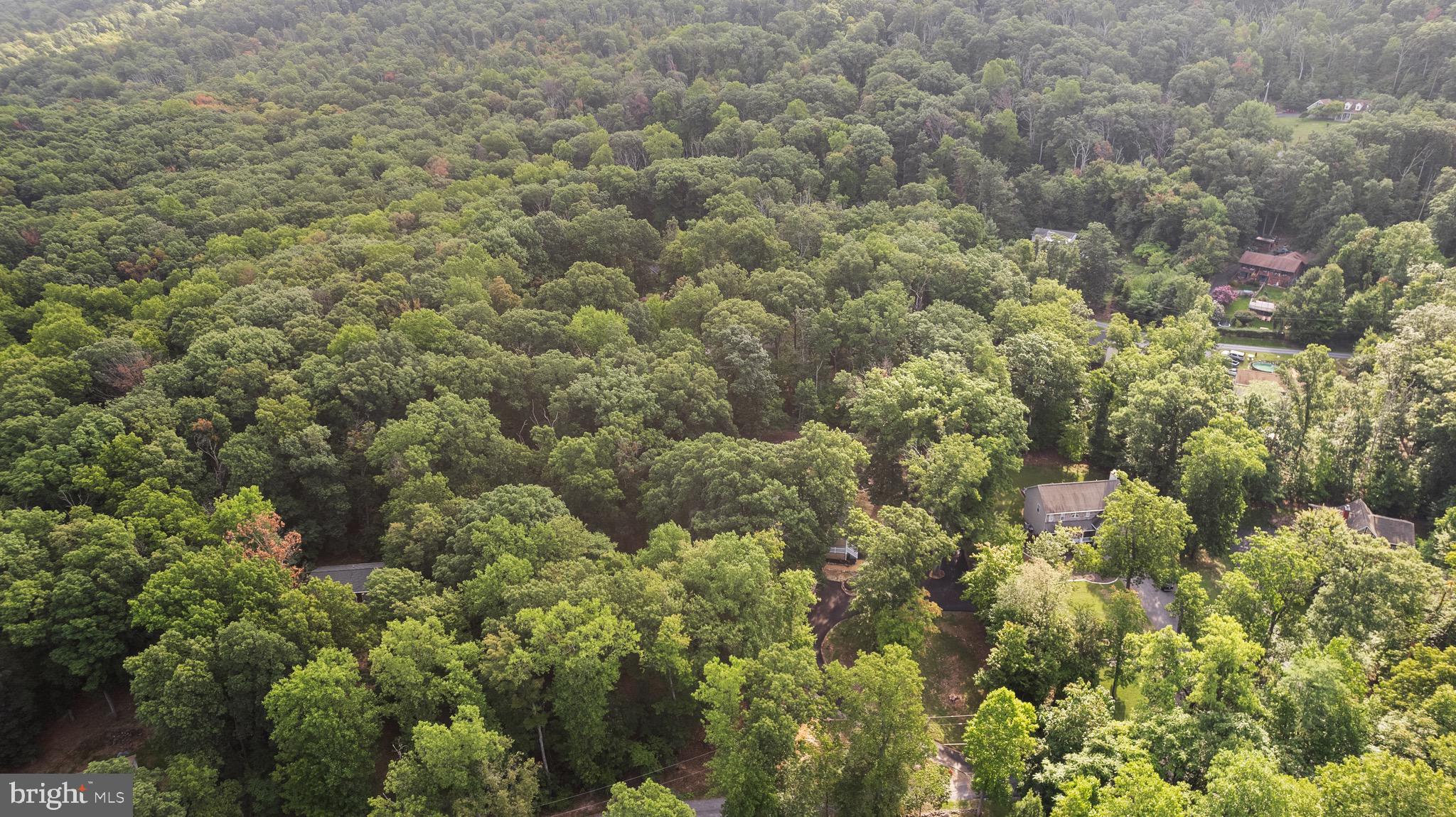 194 Black Cub Run Ln