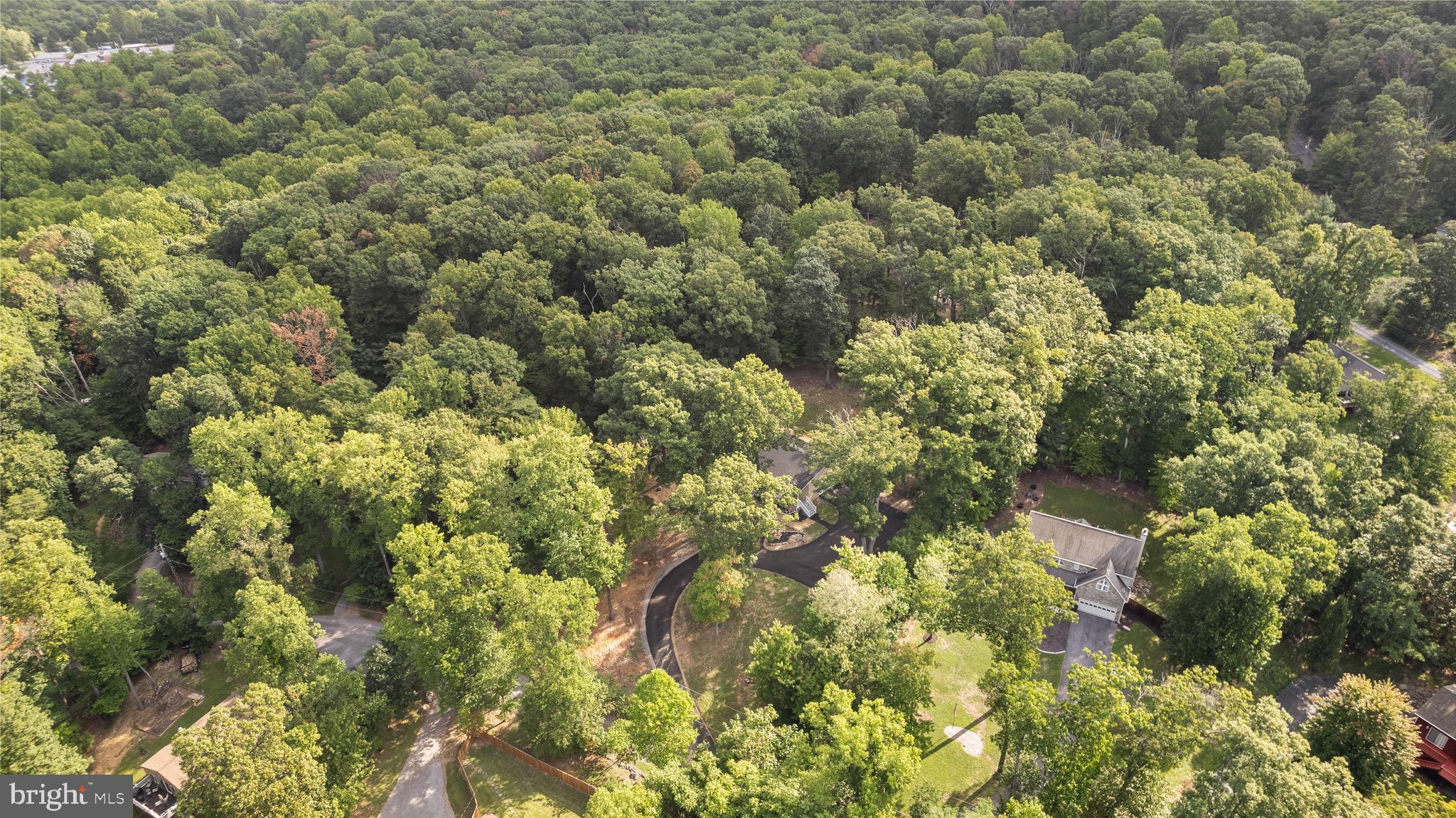 194 Black Cub Run Ln