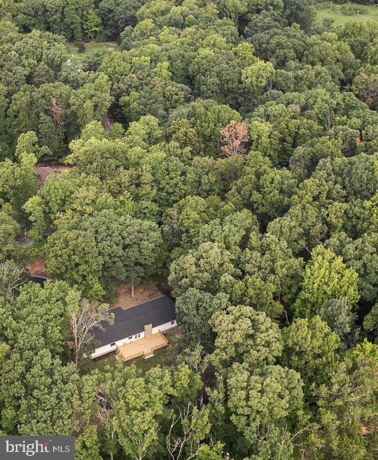 194 Black Cub Run Ln