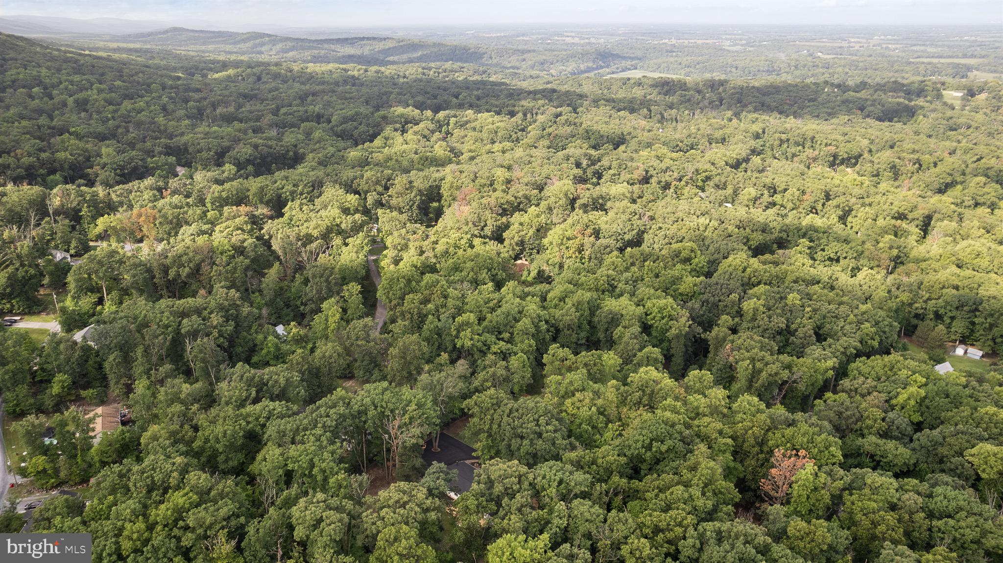 194 Black Cub Run Ln