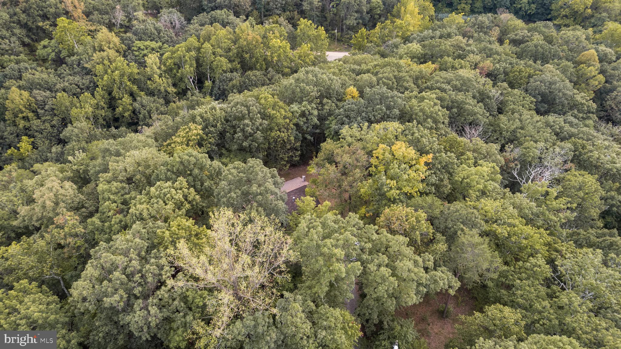 291 RIVER VIEW DRIVE