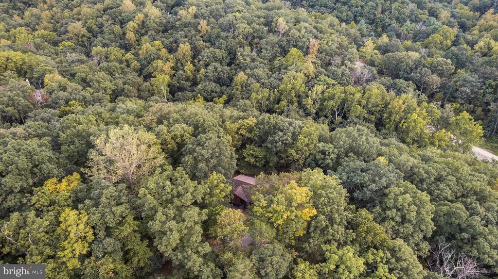 291 RIVER VIEW DRIVE