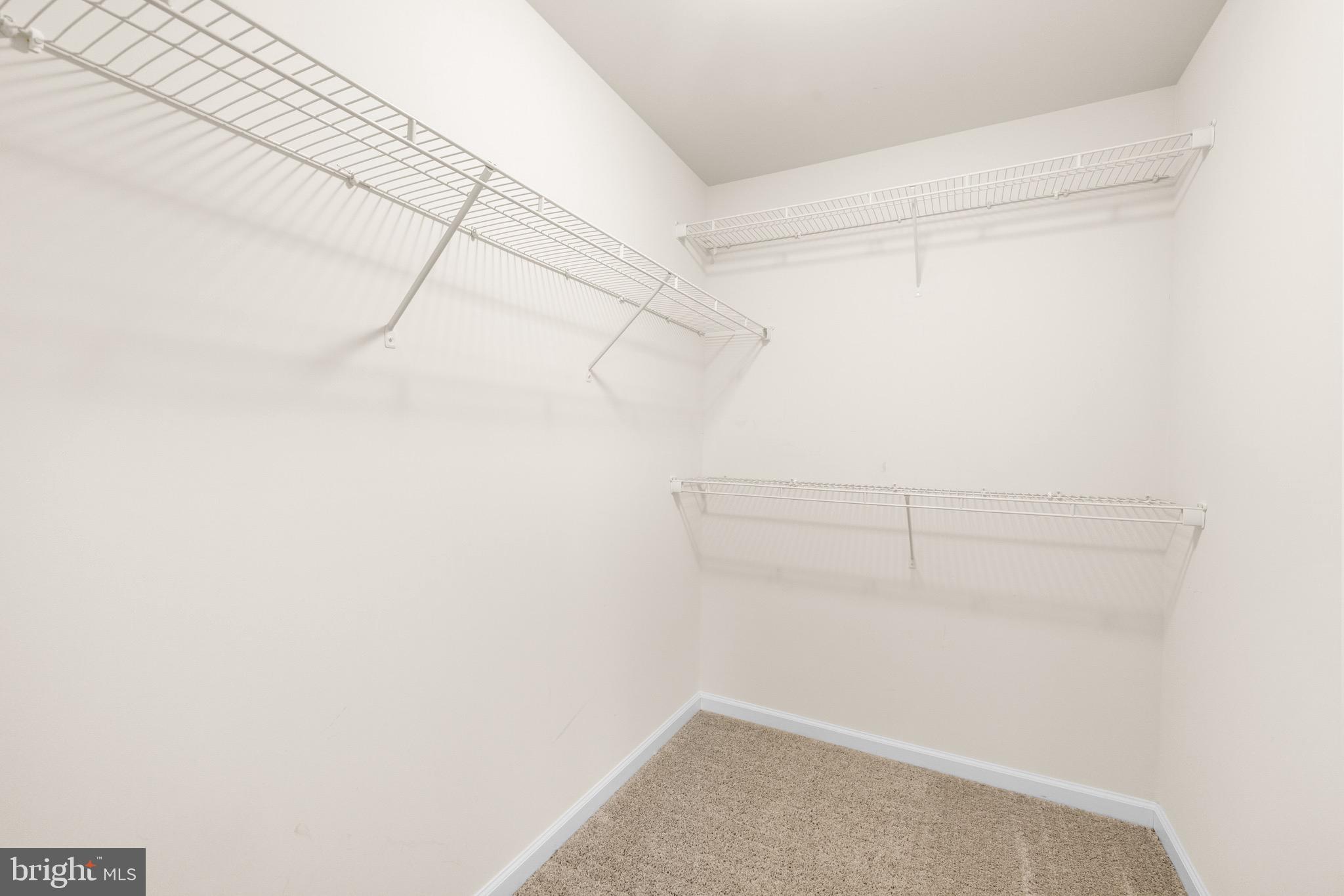 239 SUNLITE DRIVE
