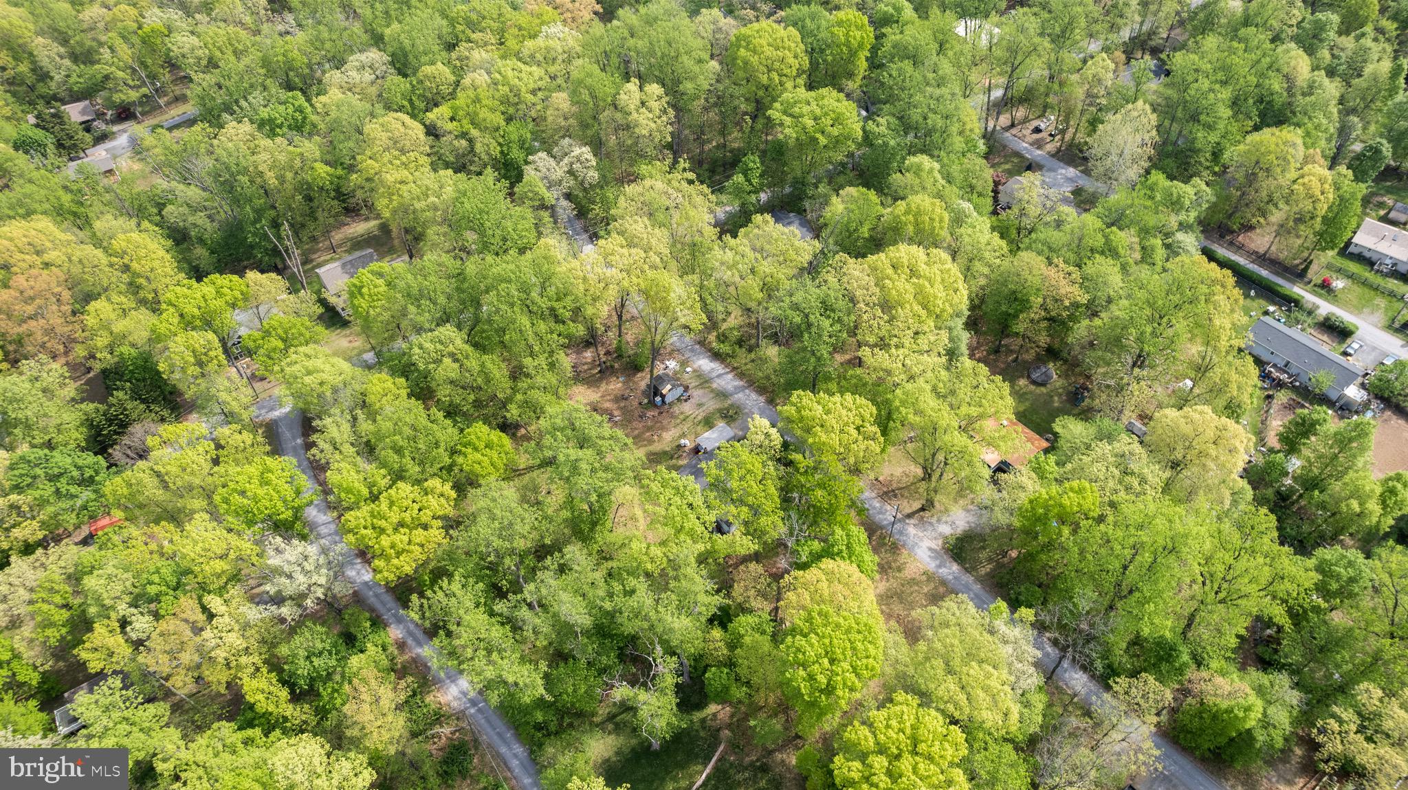149 GRAY SQUIRREL ROAD
