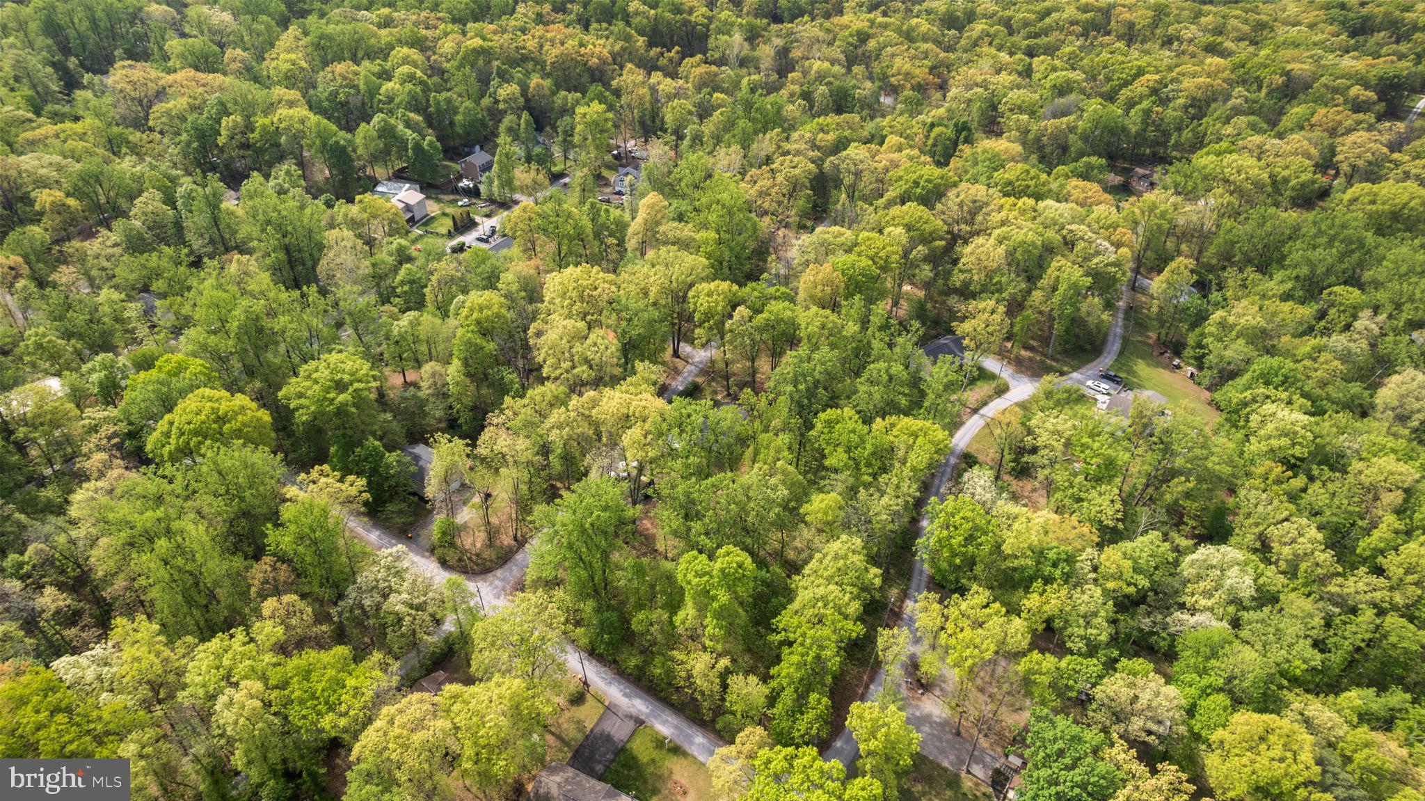 149 GRAY SQUIRREL ROAD