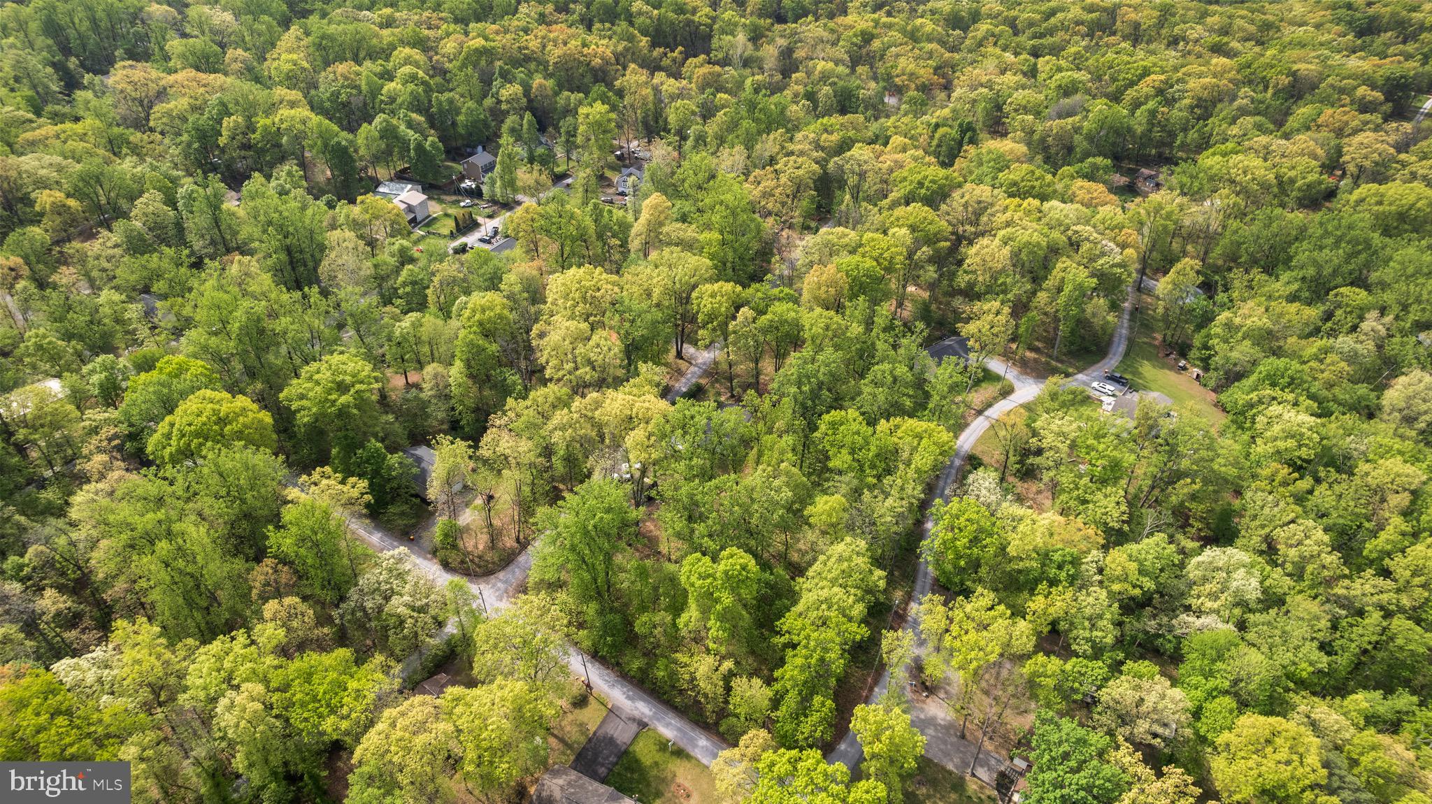 149 GRAY SQUIRREL ROAD