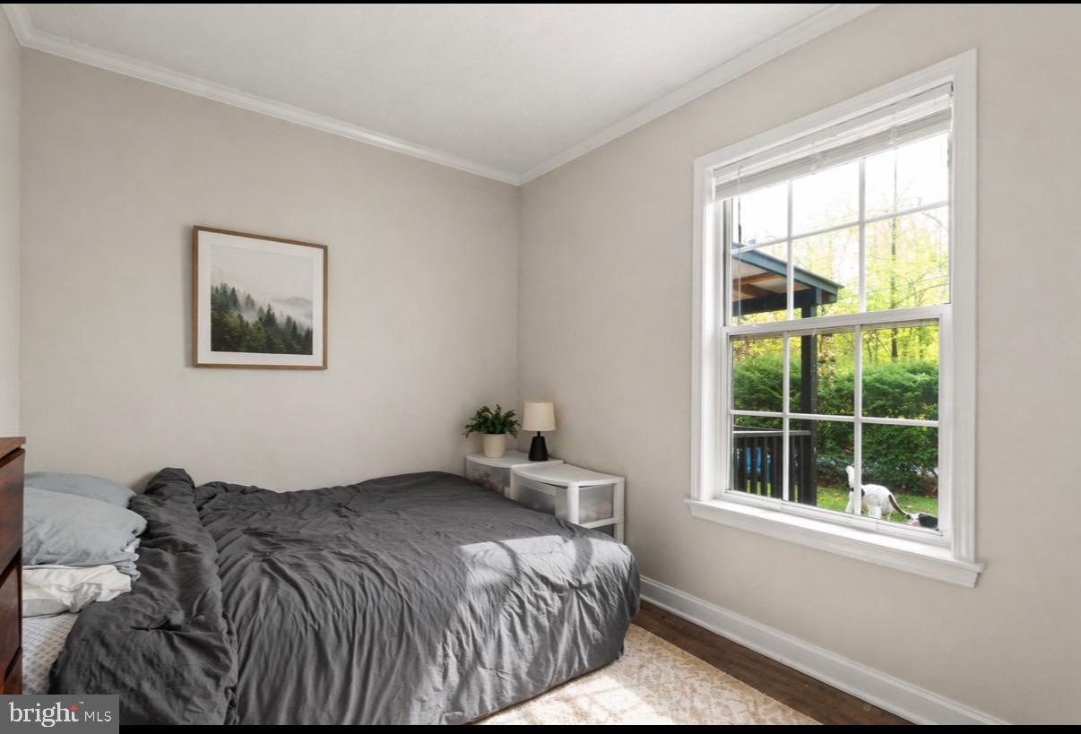 149 GRAY SQUIRREL ROAD