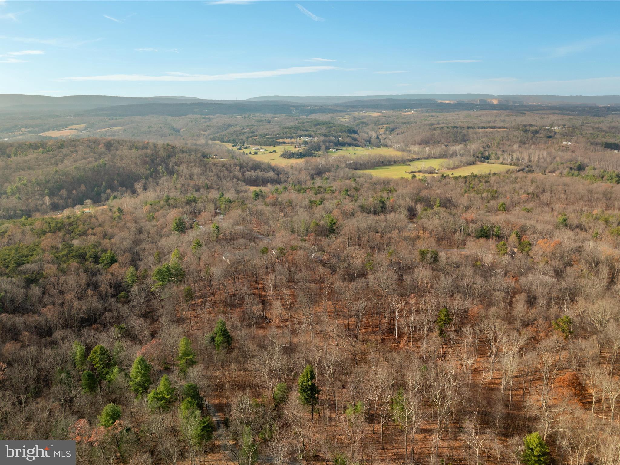 168 Tall Pines Ln