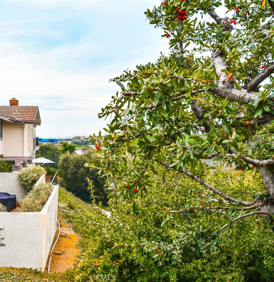 21 Jasmine Creek Drive