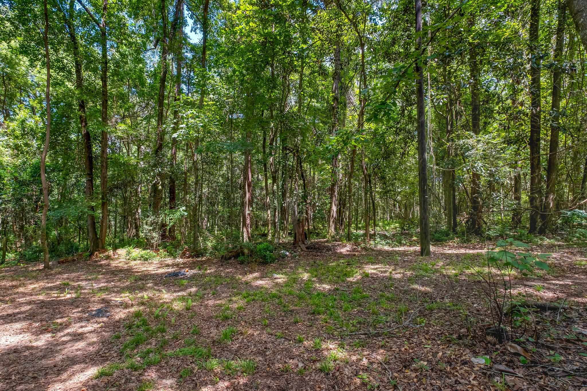 1837 Copper Axe Trail