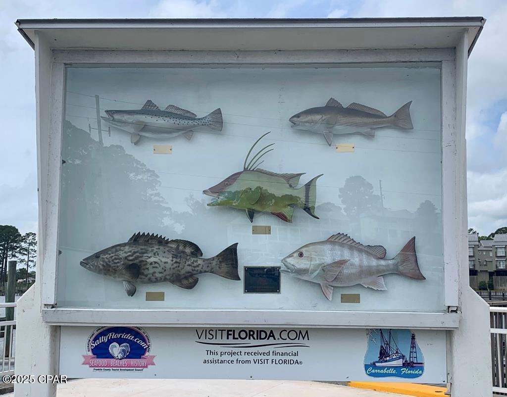 519 Shellys Loop Road