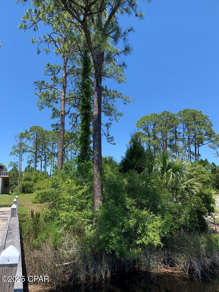 519 Shellys Loop Road