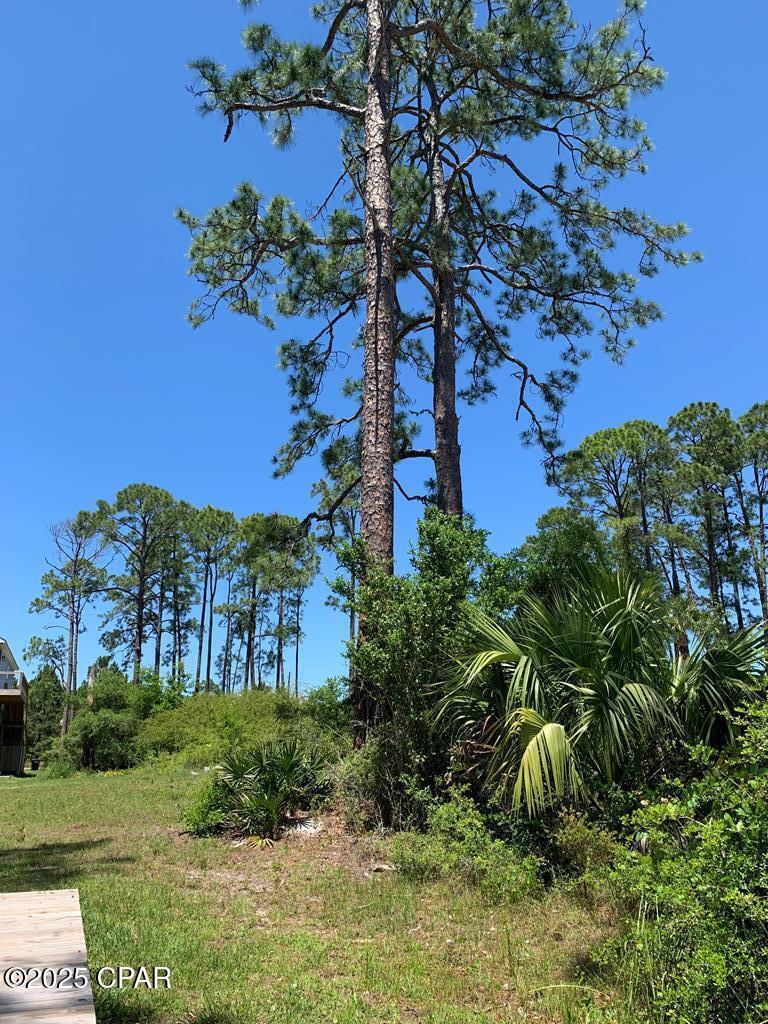 519 Shellys Loop Road