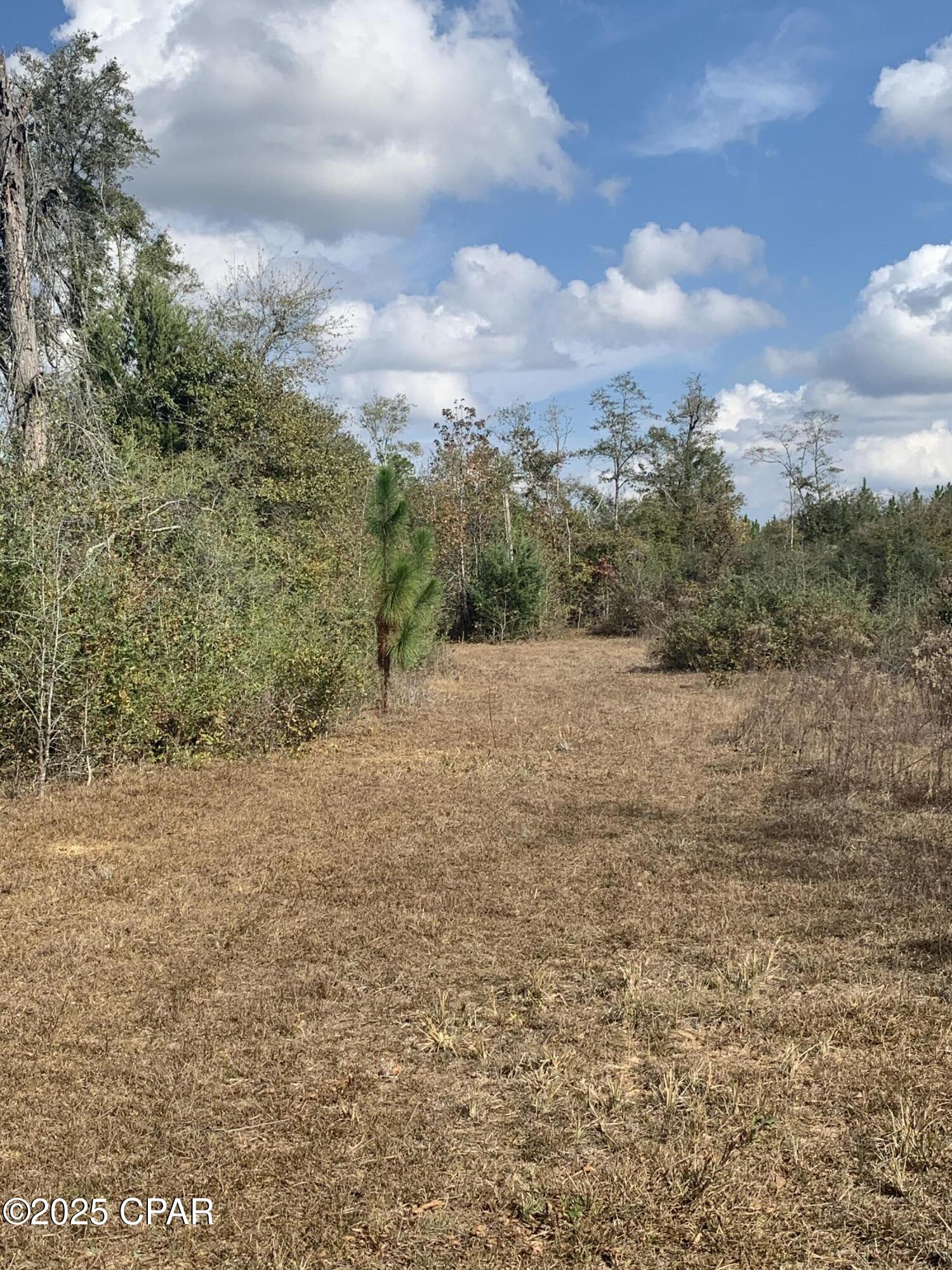 8225 SW County Road 12